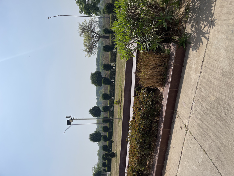 The image shows a view of a landscaped area in Sahibzada Ajit Singh Nagar, India. The scene is shot from a low angle, looking out over a concrete pathway toward a row of trimmed hedges and trees. The ground is covered in grass and there is a small patch of dry, brown grass in the foreground. In the background, a street lamp stands tall against a clear blue sky. The image captures a peaceful, quiet environment.