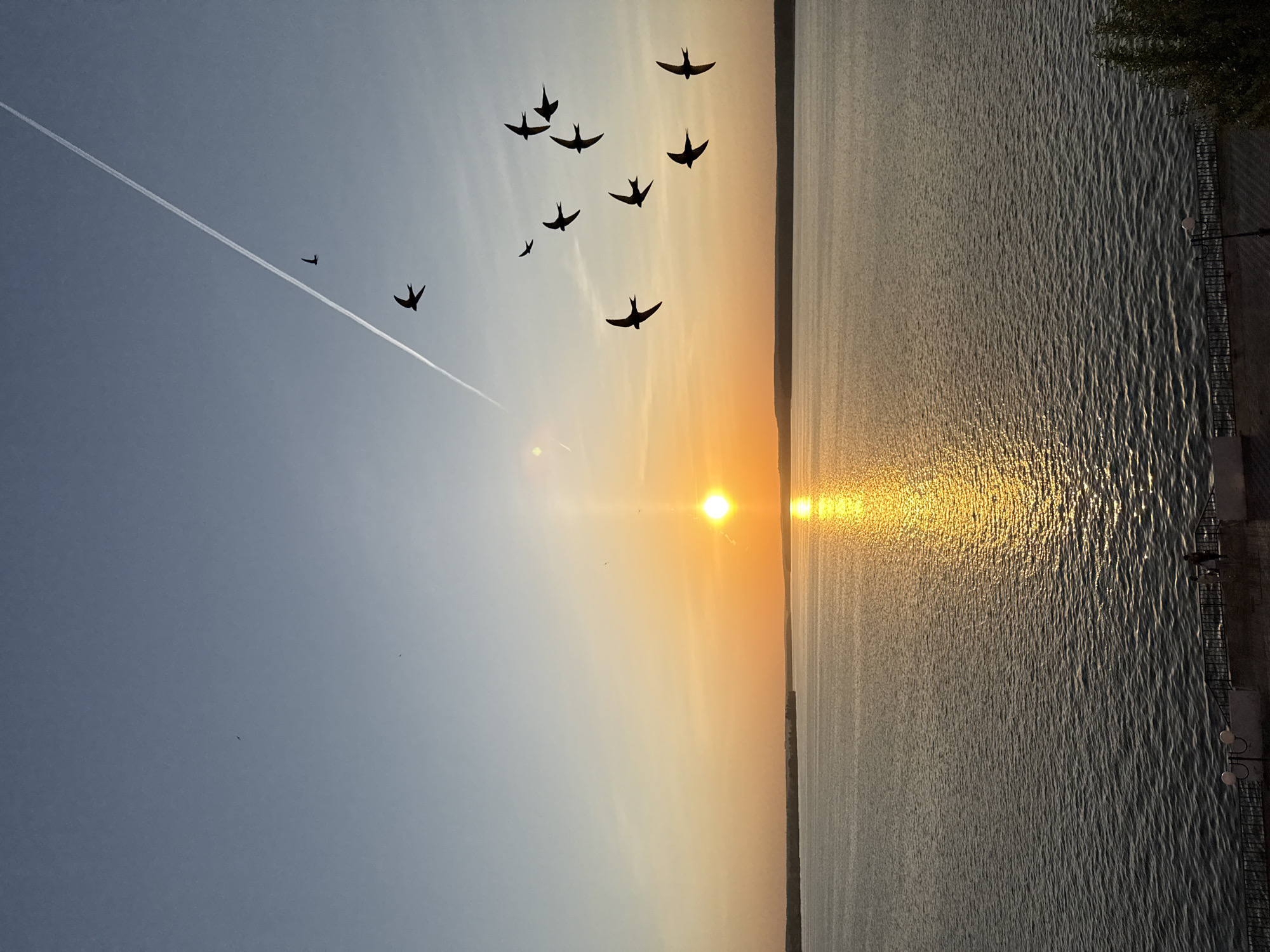 The image depicts a sunset over the Votkinsk reservoir in Votkinsk, Russia. The sky is a gradient from light blue to orange, with a visible contrail and scattered birds in silhouette. The sun reflects on the water's surface as a golden line. A concrete embankment runs along the right edge of the image, with sparse vegetation and street lights visible.