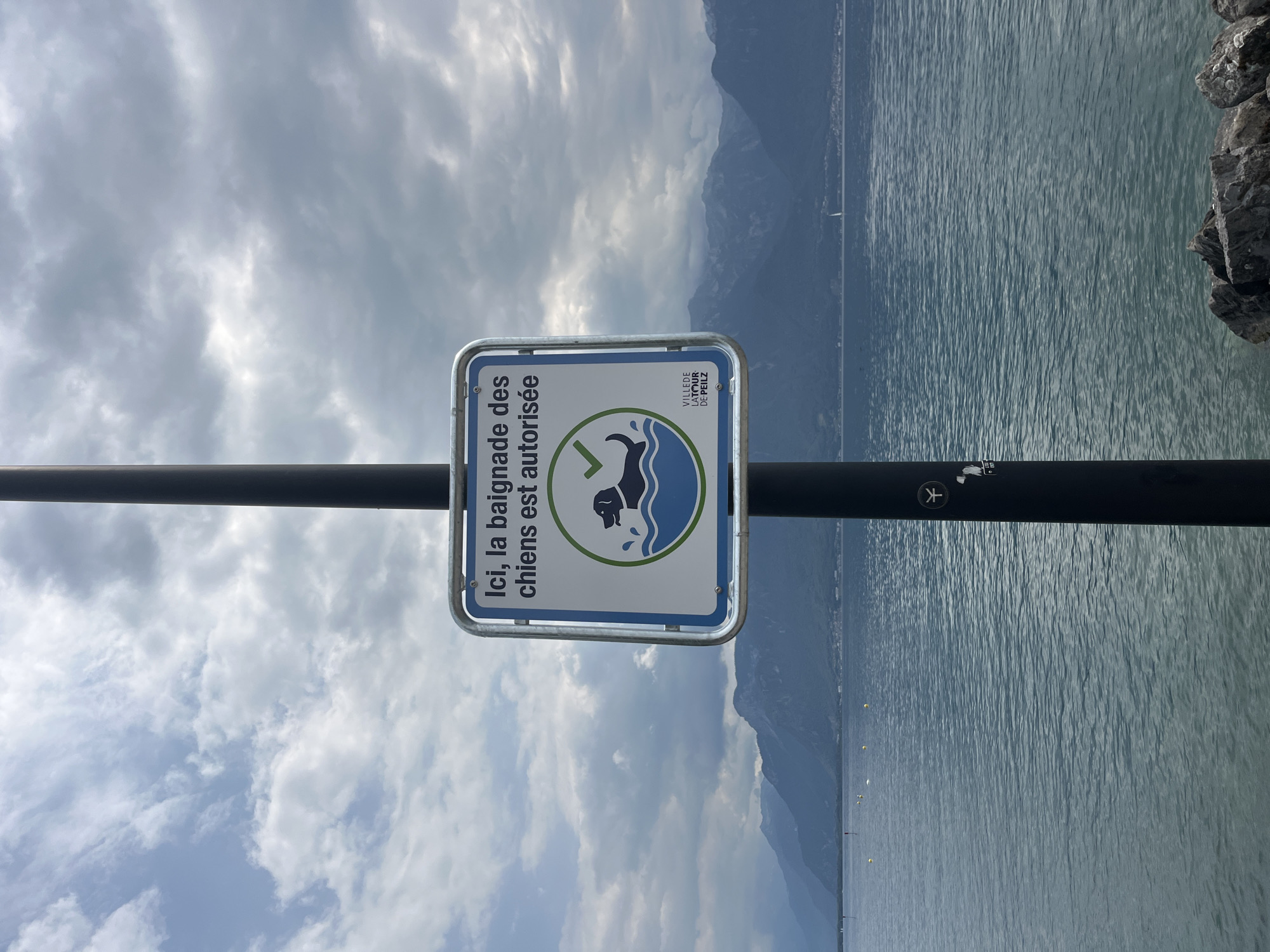 A square, white sign with a blue border is mounted on a dark pole in front of a lake and distant mountains. The sign has text in French that translates to "Here, dog swimming is allowed." A circular graphic on the sign depicts a dog swimming in blue water, with a green checkmark above it. The bottom right corner of the sign contains a small logo that reads "VILLE DE LA TOUR-DE-PEILZ." The water of the lake is calm with subtle ripples. The sky is cloudy and overcast, with a hint of sunlight breaking through. The distant shoreline features hills and buildings, and a sailboat can be seen on the water. Rocks are visible in the foreground along the edge of the lake.