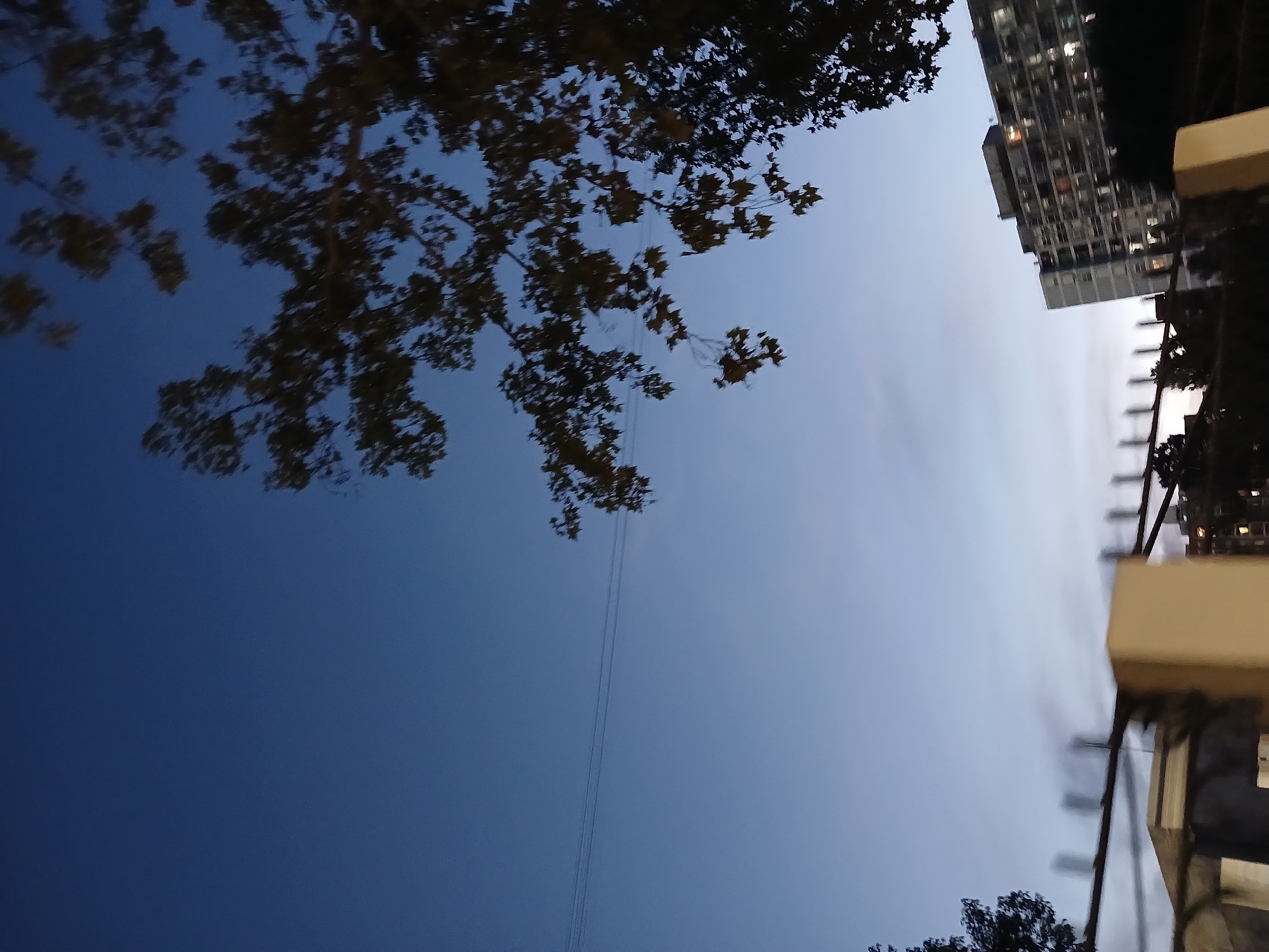 The image, taken from an upward angle, shows a cityscape at dusk. A tall building stands on the right side of the frame, with visible windows and faint lights suggesting occupancy. Silhouettes of trees and foliage partially obscure the sky and the building. Overhead wires are also visible against the sky. The sky itself transitions from a dark blue at the bottom to a lighter blue near the top of the frame. The scene's location is likely Buenos Aires, Argentina, based on urban architectural styles and vegetation. Specific location within the city is not determinable based on provided information.