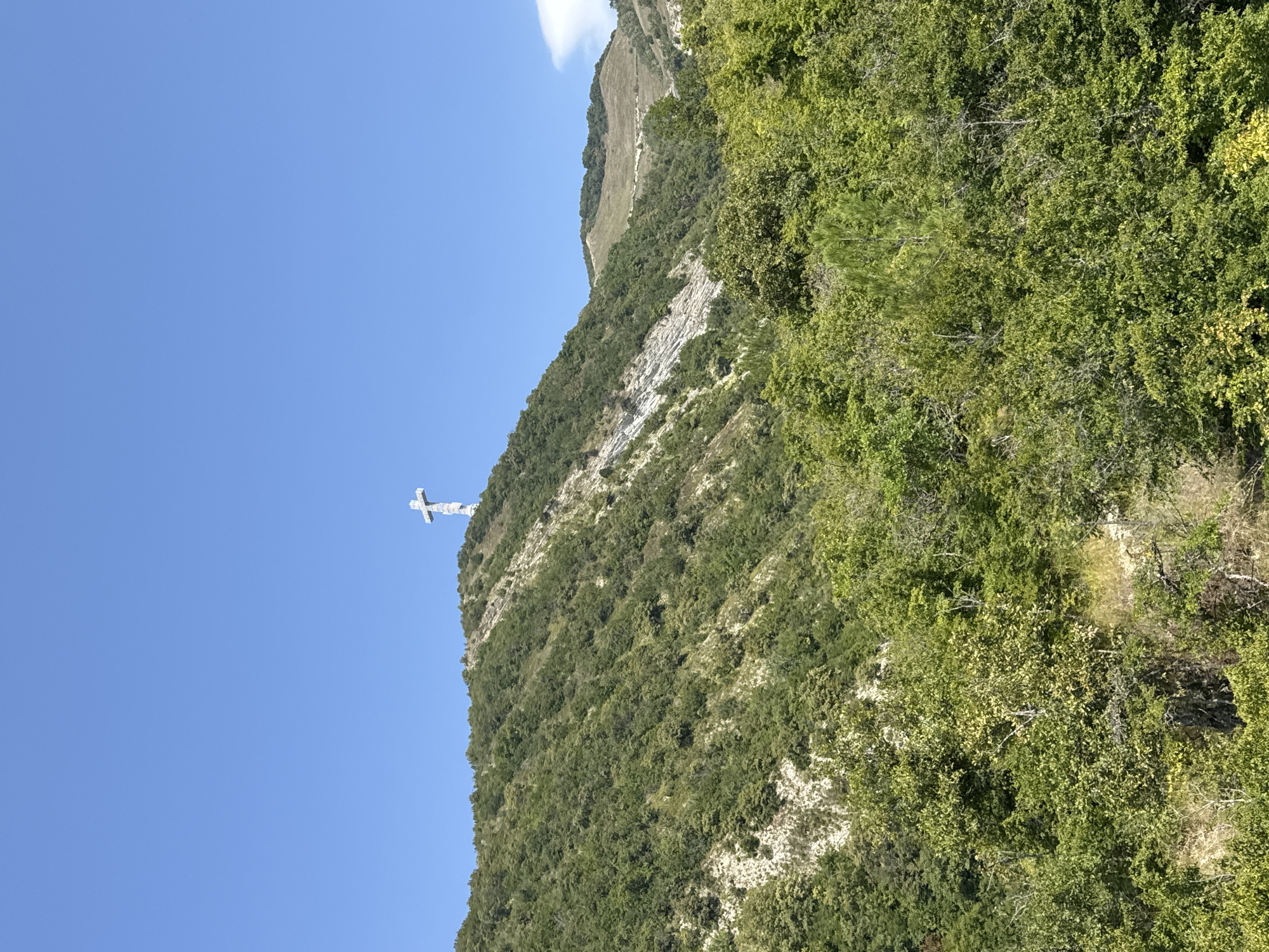 A large, white, stylized cross stands atop a grassy, rocky mountain ridge under a clear blue sky. The cross is illuminated by the sun and appears to be made of metal. The mountain slopes are covered in dense green vegetation, with patches of exposed rock and soil. The lower portion of the image is dominated by thick foliage, obscuring the base of the mountain. In the distance, other rolling hills can be seen, also covered in vegetation. The overall scene suggests an outdoor, natural environment, possibly a landmark or religious site. This is the Christ the Savior monument, a prominent landmark in Gelendzhik, Russia, located on Markotkh Ridge.