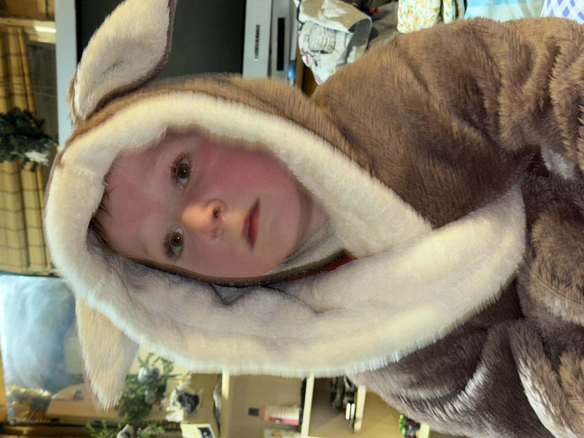 A sideways, close-up indoor portrait features a young child, likely a toddler or preschooler, looking directly at the camera. The child has fair skin, light brown eyes, and appears to have rosy cheeks. They are wearing a fluffy, brown, animal-themed hooded costume or sleepsuit, distinguished by a soft white trim around the face opening and pointed animal ears on the hood. The material of the costume appears very soft and plush.
The background, largely out of focus due to the close-up shot, reveals a domestic indoor setting. To the left, a window with plaid curtains is partially visible, along with some dark green foliage, possibly a decorative plant or a Christmas ornament. In the upper background, part of what resembles a television or monitor, and some patterned textiles (perhaps laundry or bedding) are discernible. More indistinct household items are visible in the lower background.
The child's expression is neutral and somewhat solemn or contemplative. No specific activity is occurring beyond the child being photographed. The lighting suggests it is daytime, with ambient light illuminating the scene. The image provides no specific visual cues for the stated location of Nizhnyaya Chermoda, Russia. There is no visible text in the image.