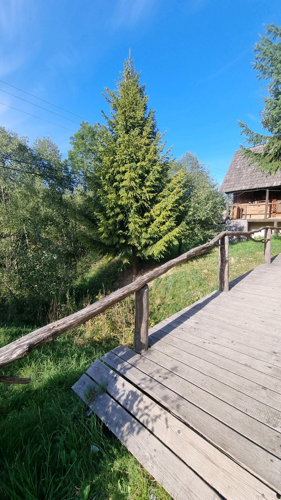 The image shows a wooden walkway extending from the lower right corner towards the center. The walkway is constructed of light-colored wooden planks. To the left of the walkway, there is a rustic wooden railing with rough-hewn posts and a horizontal railing. Beyond the railing, there is a grassy area with some dry vegetation. Further left, dense green foliage from trees and bushes fills the midground, with a prominent evergreen tree in the center. In the background, a wooden structure with a shingled roof, resembling a house or cabin, is visible to the right. The sky above is a clear, bright blue. The scene appears to be an outdoor setting in a natural environment. This scene is located in the village of Izky, Ukraine, known for its traditional wooden architecture and natural landscapes.