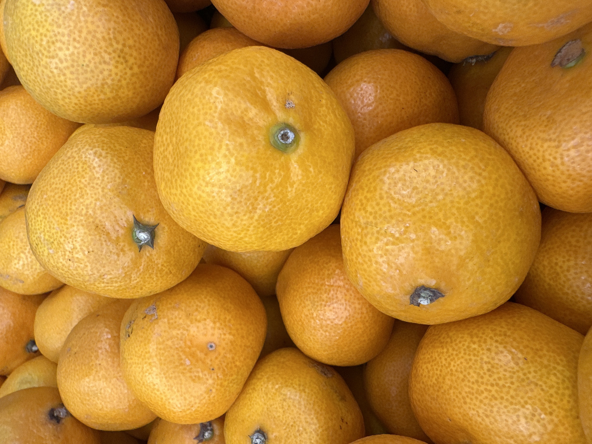 The image is a close-up, overhead shot of a pile of ripe tangerines. The tangerines are a vibrant orange color with a textured peel. Some of the tangerines have small green stems or remnants of stems visible. The lighting is bright, creating highlights on the curved surfaces of the fruit. There are no people or other objects visible in the image. The image does not contain information that would allow for its location to be determined in the city of Chaikovsky, Russia, or any other specific location.