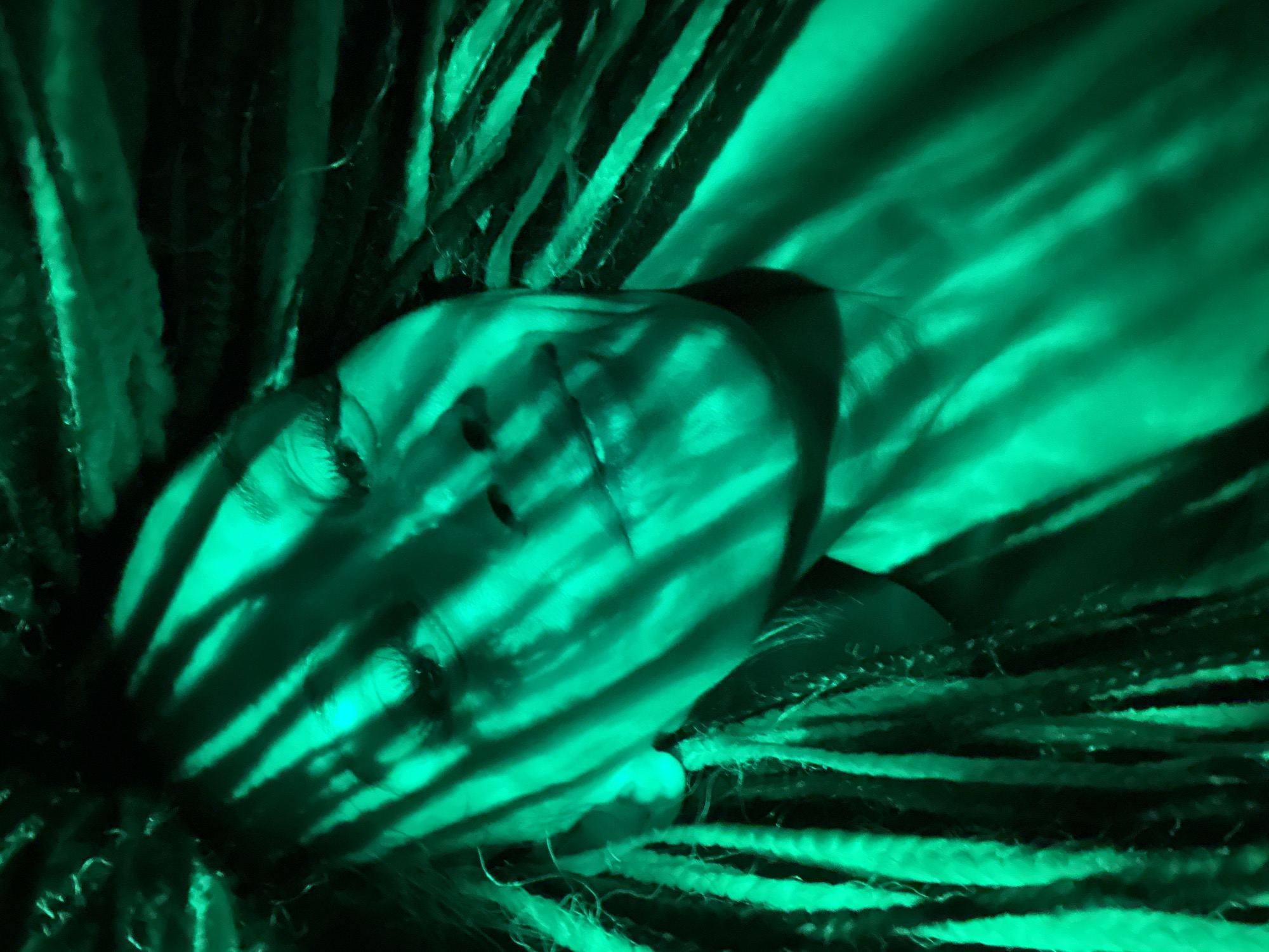 A person lies with their eyes closed, illuminated by a harsh green light that casts striped shadows across their face. The person is surrounded by what appears to be strands or braids. The image is entirely monochromatic in shades of green. Rusanovo, Russia is not determinable from the image.