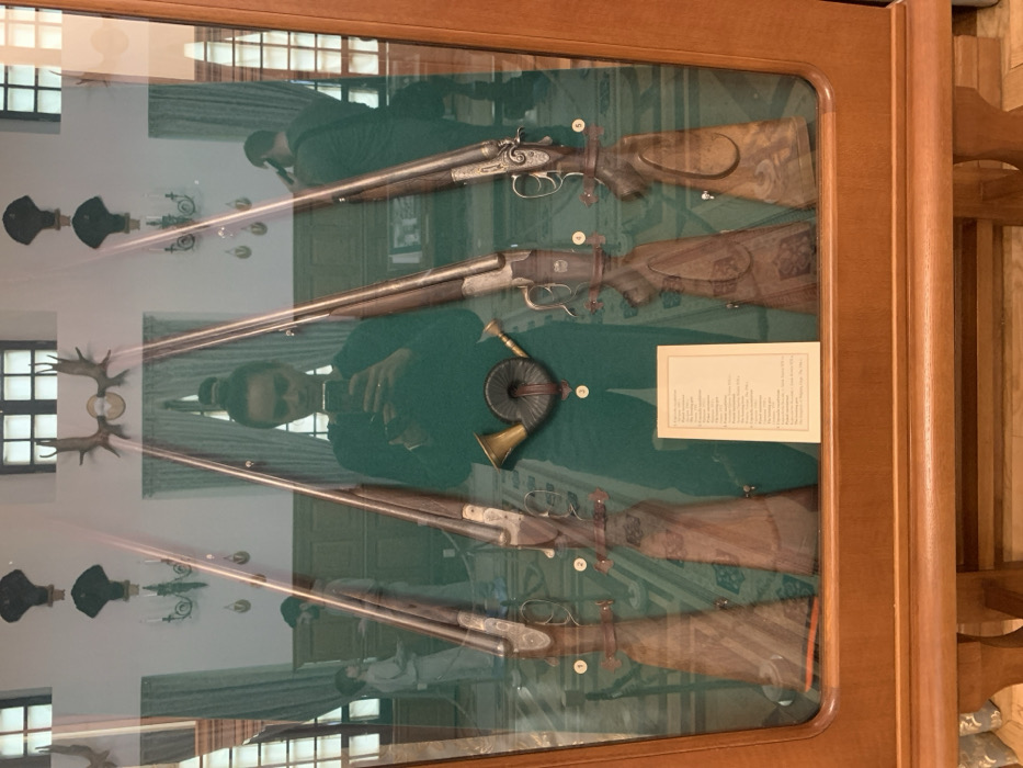 The image displays a wooden museum display case with a glass front, situated within Niasviž Castle in Nyasvizh, Belarus. Inside the case, four antique long firearms, likely shotguns or rifles with wooden stocks and dark metal components, are mounted vertically against a dark green fabric background. A dark hunting horn with brass elements is centrally positioned between the upper halves of the two middle firearms. Below the horn, a small, white rectangular informational plaque with text is visible.
Prominently reflected in the glass is a person, identifiable as the photographer, wearing dark long-sleeved attire and trousers, with hair pulled into a bun, holding a smartphone to capture the image. To the photographer's left, the reflection includes a man with a beard and a young child in lighter clothing, standing in a patterned room. To the photographer's right, another individual, dressed in a dark shirt, is reflected, appearing to hold a device to their head.
The reflected background behind the display case reveals an interior room with white walls, ornate wall-mounted lighting fixtures, mounted deer antlers, and dark decorative items. Tall, multi-paned windows draped with light-colored curtains and lower wooden wall paneling are also discernible. The floor in the reflection is light-colored with a geometric pattern.