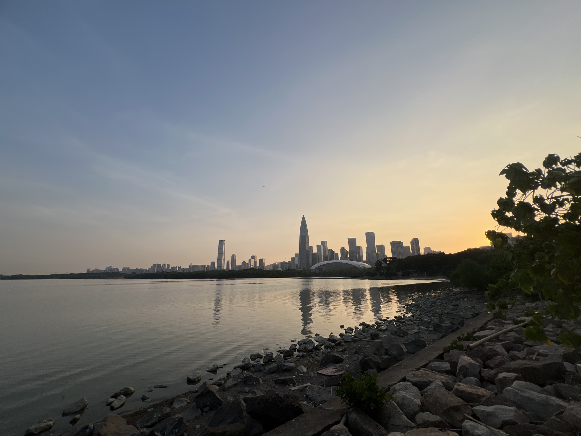 The image depicts a scenic waterfront view in Nanshan District, China, during a sunset. A calm body of water occupies the left side of the frame, reflecting the soft hues of the sky and the distant cityscape. The shoreline in the foreground is covered with an assortment of rocks and some vegetation.
Dominating the horizon on the right is a cluster of modern skyscrapers, characteristic of a metropolitan area. Among these buildings, a particularly tall, pointed skyscraper stands out, along with a distinctive curved building. The sky transitions from a soft blue at the top to a warm yellow and orange gradient towards the horizon, indicating the setting sun.
On the right edge of the image, the silhouette of lush green foliage from trees partially obscures the view of the sunset. The overall atmosphere is serene and picturesque, capturing the beauty of urban architecture meeting natural elements at dusk. There are no people or animals visible in the frame.