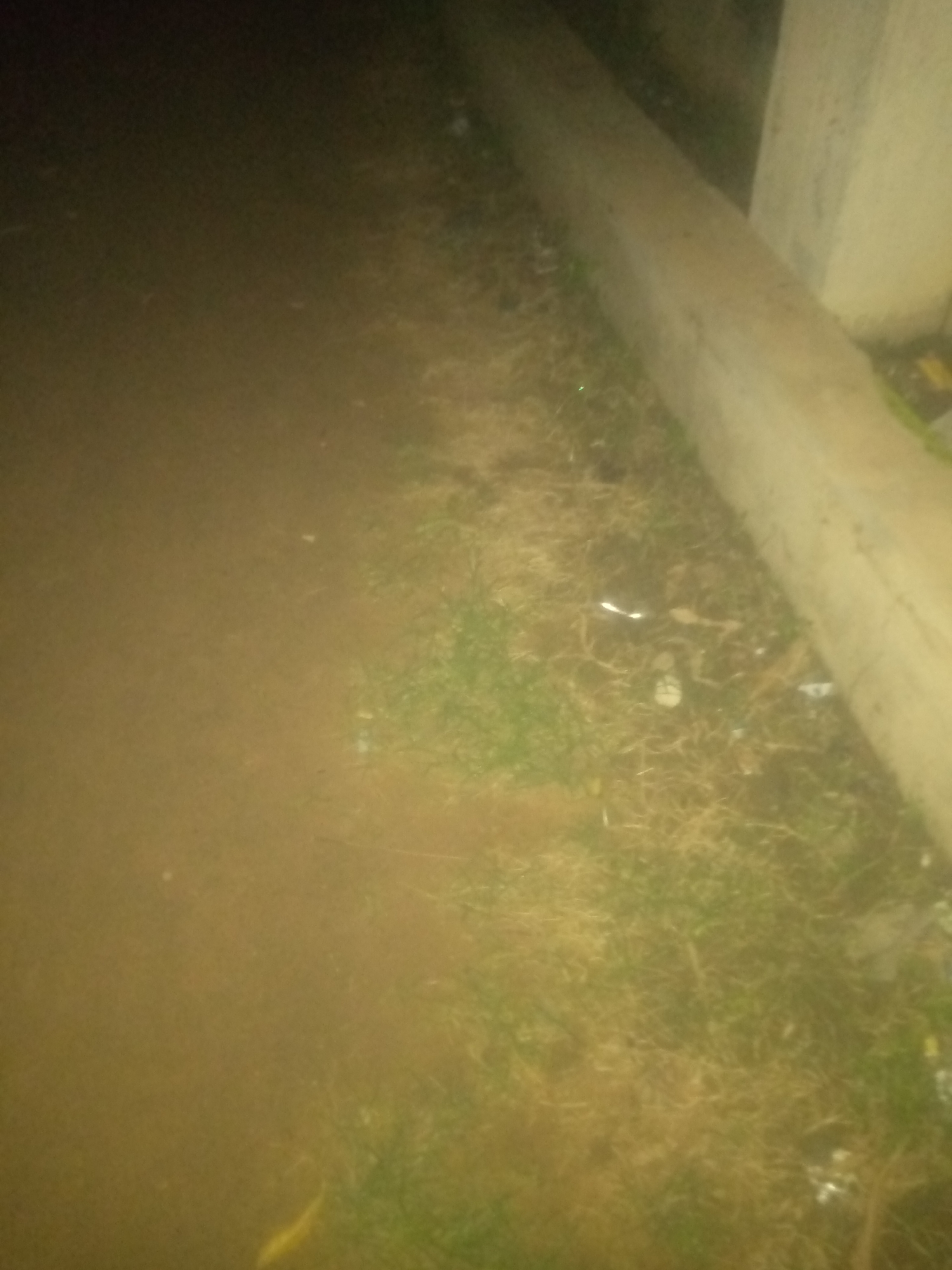The image depicts a gritty urban environment at night. A concrete curb or wall runs along the right side of the frame, separating a muddy patch of ground from a patch of dry grass and weeds. The ground is uneven and littered with debris, including what appears to be discarded packaging and general refuse. The lighting is dim, casting long shadows and obscuring finer details. The overall impression is one of neglect and urban decay.