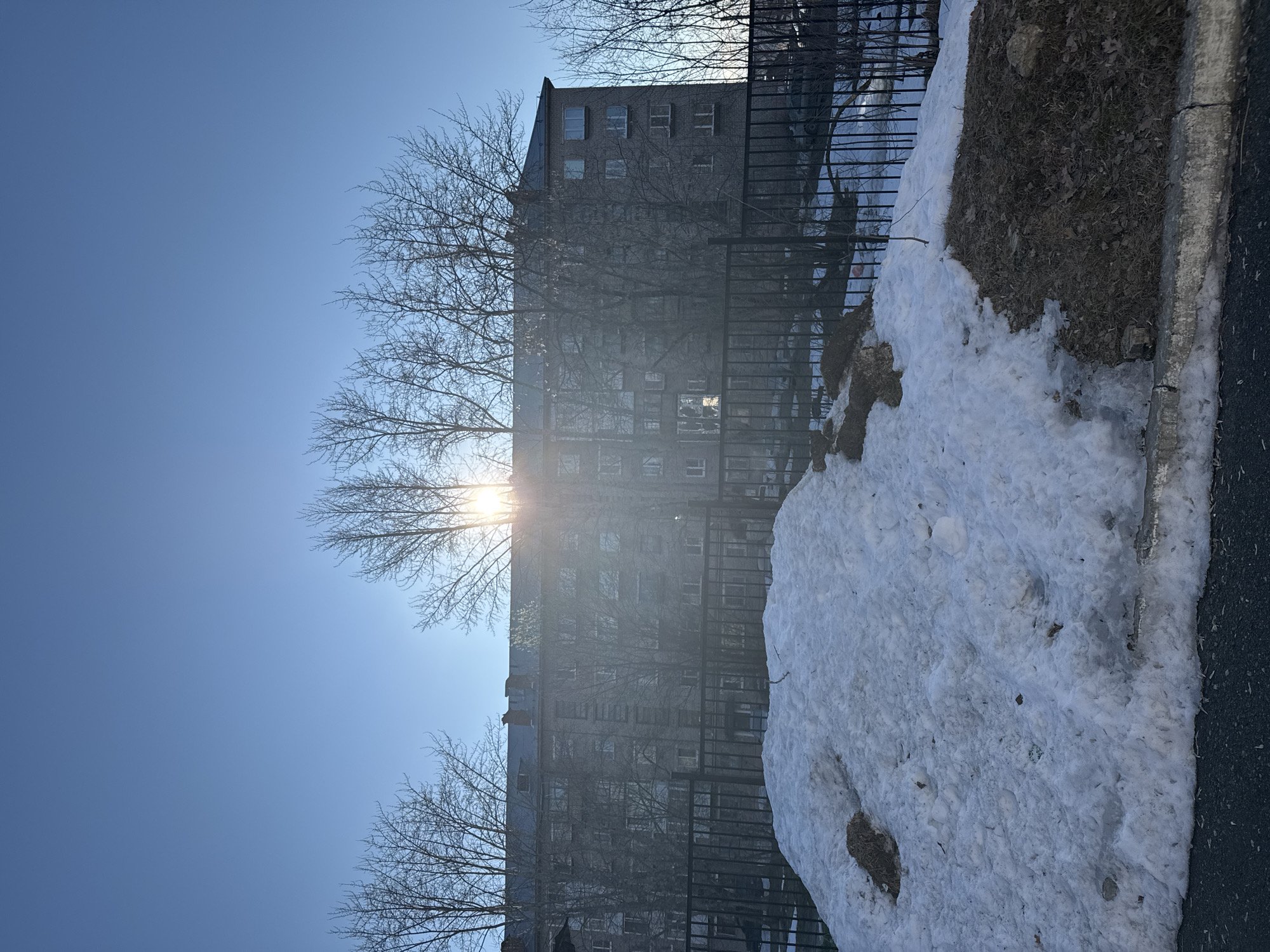 The image presents a scene in Berezniki, Russia, likely taken during late winter or early spring. A multi-story brick building dominates the central background, partially obscured by bare trees. The sun shines brightly through the branches, creating a lens flare effect. A black metal fence runs parallel to the building. In the foreground, a snow bank partially covers a patch of earth. The sky is a clear, bright blue. The orientation of the image is rotated 90 degrees clockwise.