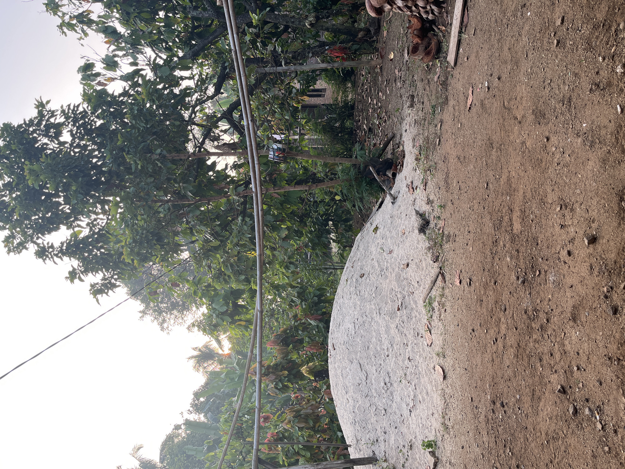 The image depicts an outdoor scene in Kebumen, Indonesia. In the foreground is a pile of sand. Behind the sand pile is a dirt ground covered with fallen leaves and small stones. A structure made of metal pipes runs horizontally across the mid-ground. Beyond this structure, there is dense foliage from trees and plants, with some appearing to be fruit-bearing trees, as evidenced by the red and orange fruits visible. A building with a brick facade is partially visible through the trees in the background. The sky is bright and overcast, suggesting early morning or late afternoon light. There are no people visible in the image.