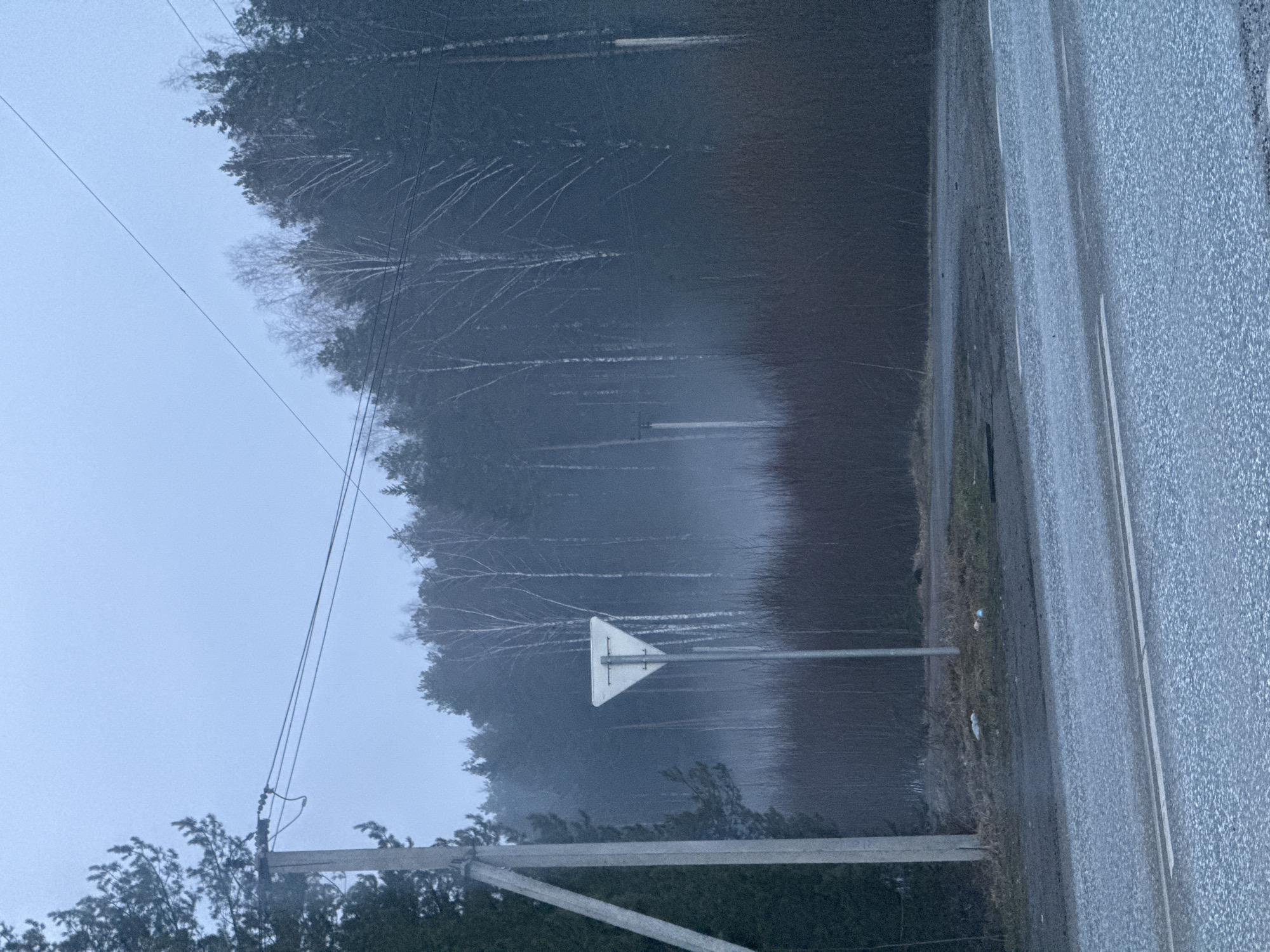 The image depicts a view on a gray, overcast day along a road in Chaikovsky, Russia. The roadside is to the right, featuring an asphalt road with a white line marking the edge. To the left of the road is a grassy verge. Further to the left is a dense forest, composed of deciduous trees without leaves due to the season. A triangular yield sign stands near the edge of the forest. Foreground shows a utility pole with power lines extending across the top-left of the frame. The overall scene suggests a rural or semi-rural location on a dreary day.