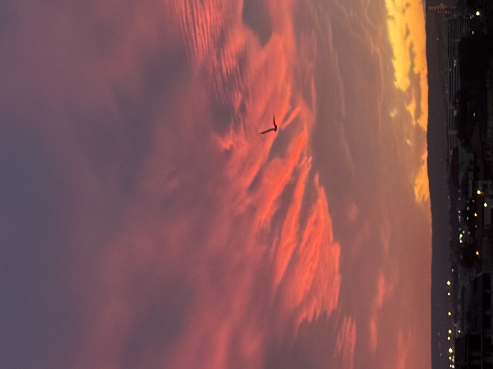 Captured from Varna, Bulgaria, the scene depicts a vibrant sunset. The sky transitions from a deep purple to a vivid orange, with textured clouds casting shadows. A distant building with illuminated windows is visible on the right. A bird is flying.