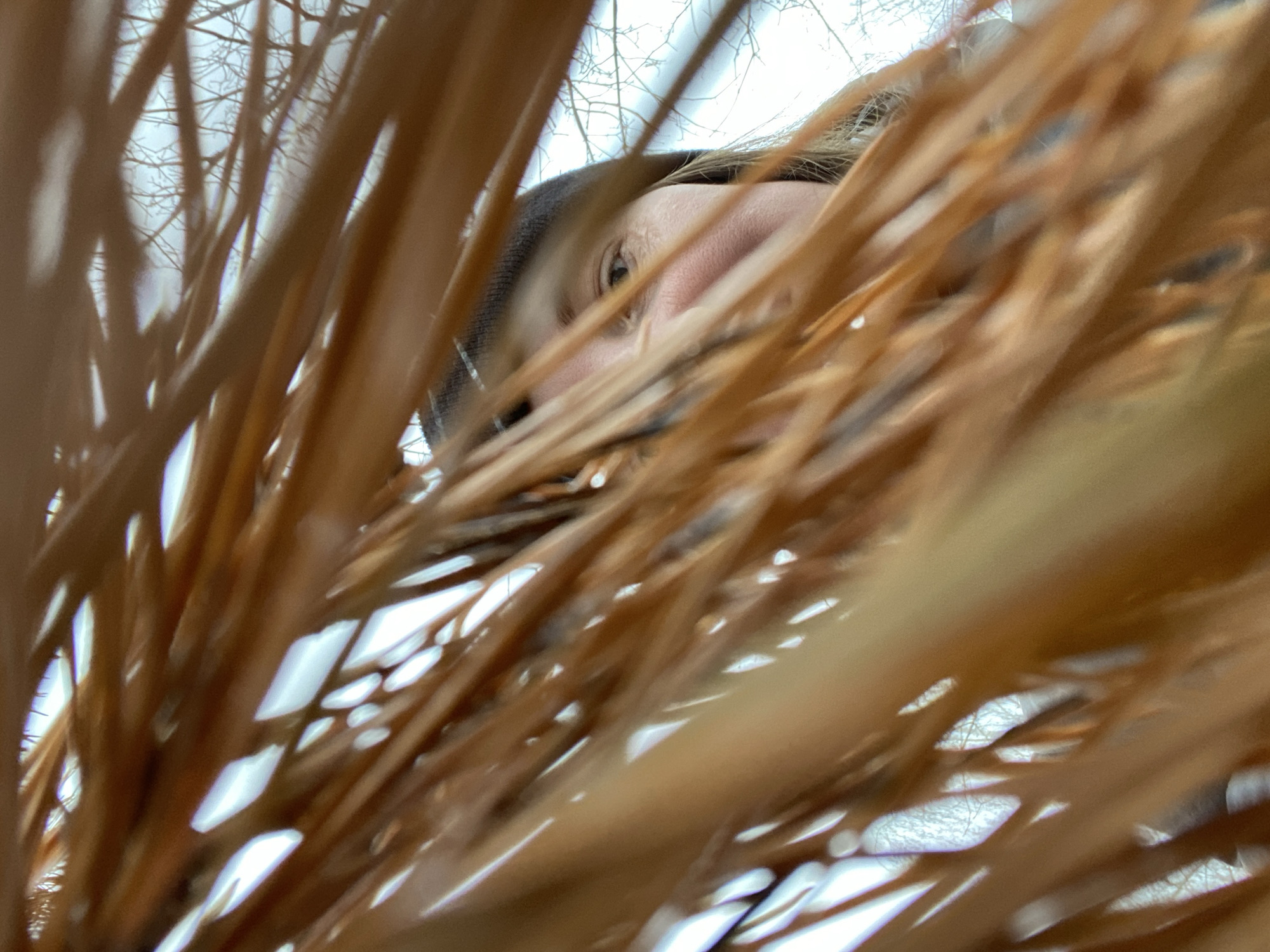A low-angle close-up photograph shows a person's face partially obscured by brown, straw-like foliage. Only one eye, part of the nose, and a small section of the forehead and cheek are visible. The person appears to be wearing a dark-colored hat or hood. The background is blurry but shows a white or light sky and bare tree branches. The environment suggests a winter setting, possibly in a wooded area. The image does not contain enough information to confirm the exact location in the city of Noviy, Russia.