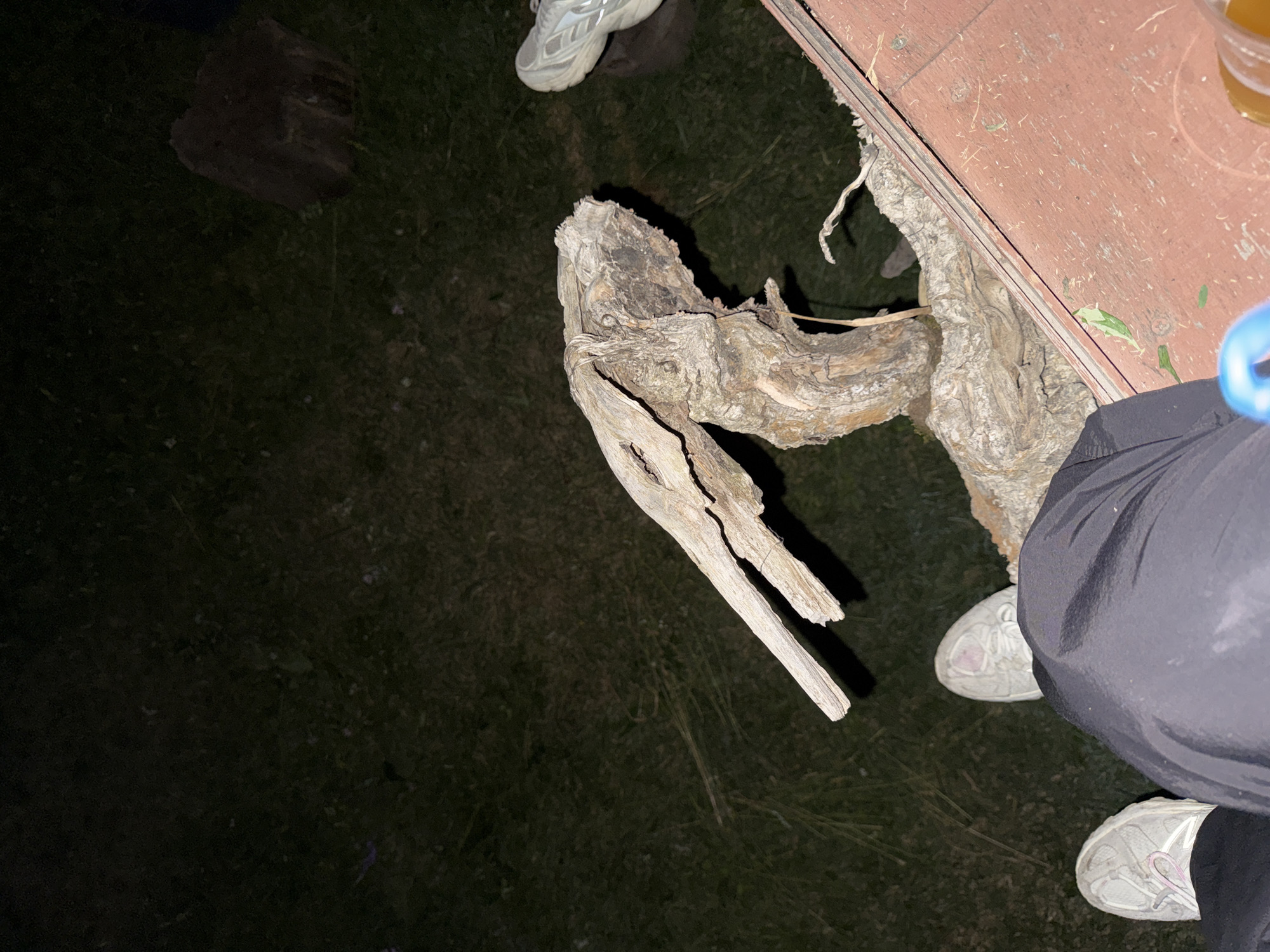 An outdoor, low-light scene features a weathered piece of driftwood resembling a bird's head. The driftwood is positioned on the right side of the frame, partially resting on a reddish-brown wooden surface. In the background, dark grass and a dark, indistinct object are visible. In the foreground, the legs of a person are visible wearing dark pants and white sneakers. Another person's legs and white sneakers are visible on the far right of the frame.