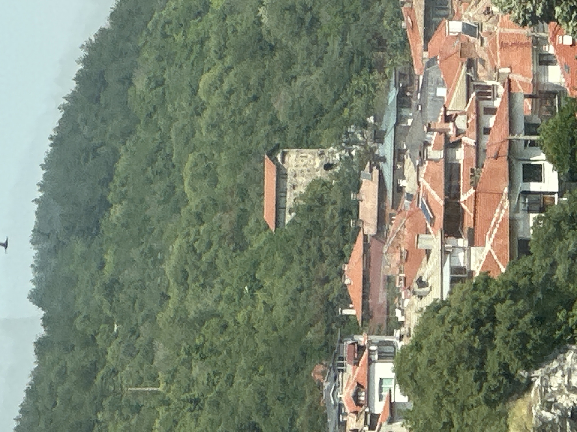 The image displays a panoramic view of the city of Asenovgrad, Bulgaria, situated on a verdant hillside under a light, hazy sky.
In the upper portion of the image, a pale blue-grey sky is visible. A dark-colored bird with spread wings is captured in flight in the upper center. Below the sky, a densely forested mountain or large hill covers the background, exhibiting various shades of green vegetation. Within the upper left section of this forest, a small, indistinct white or light-colored object is subtly visible, partially obscured by tree foliage.
Midway down the hillside, positioned within the tree line, stands a prominent, stone-built structure featuring a distinct red-tiled gabled roof. This building appears fortified or tower-like, with visible stonework and windows.
Below this prominent structure and extending downwards, the urban landscape of Asenovgrad unfolds. The city is characterized by a dense cluster of multi-story buildings, predominantly featuring traditional red or orange terracotta tiled roofs. Several chimneys, varying in design and color, protrude from the rooftops. Many buildings exhibit light-colored or white facades, with some having darker window frames or architectural details. Some roofs also show evidence of modern installations, such as solar panels. Interspersed among the buildings are numerous green trees, partially obscuring individual structures and adding to the natural integration of the town. Rocky terrain and additional foliage are visible in the immediate lower-left foreground.
No people or discernible human activity are visible within the frame. The scene is illuminated by natural daylight, suggesting an overcast or slightly hazy atmospheric condition.