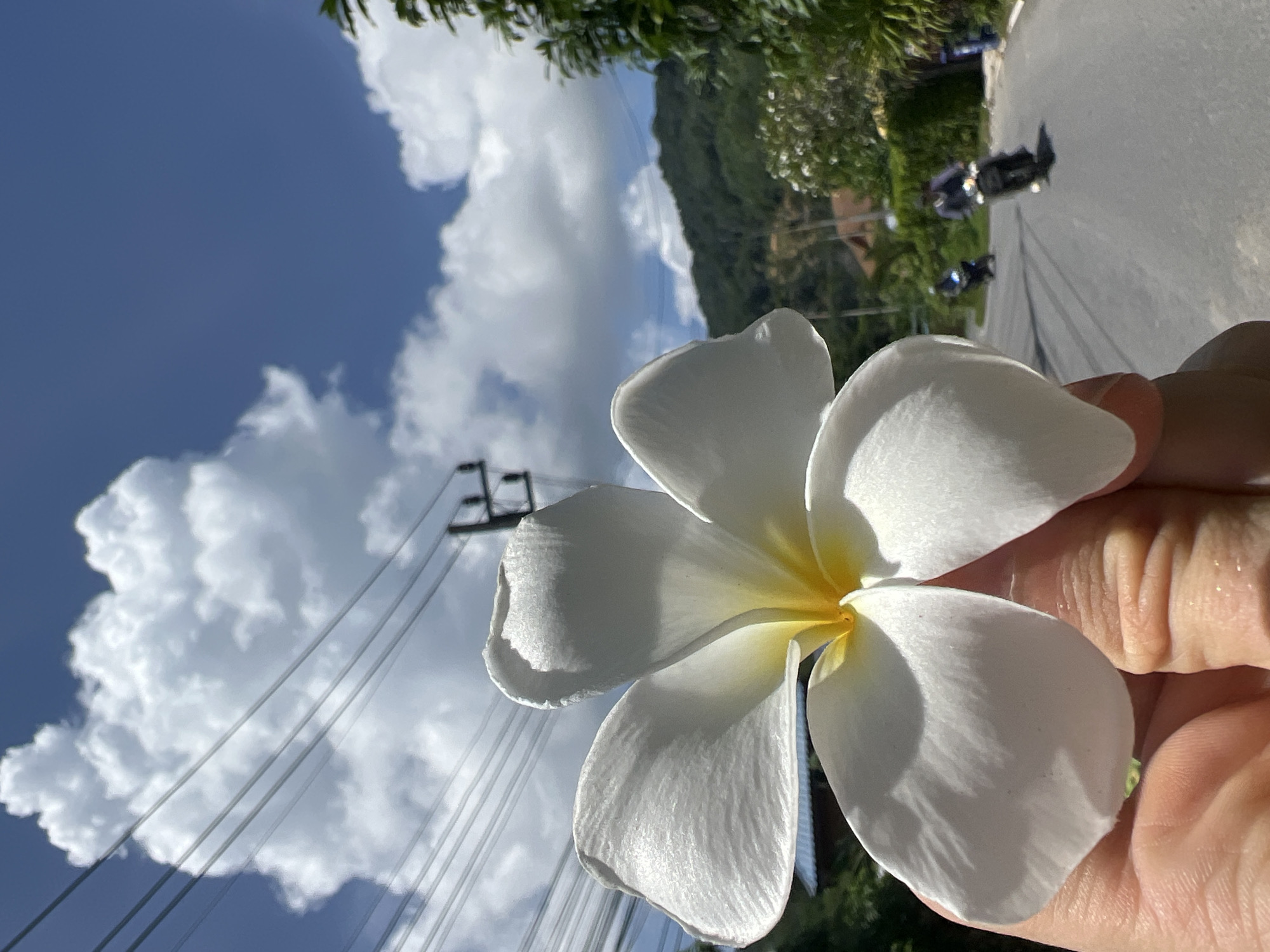 A hand holds a white Plumeria flower in the foreground, its petals catching the sunlight against a bright blue sky filled with dramatic white clouds. In the background, a paved road curves through a green, hilly landscape in Choeng Thale, Thailand. Two individuals on motorcycles are visible on the road, heading away from the viewer. Utility poles and electrical wires are strung across the upper portion of the frame, and lush green foliage lines the sides of the road. The overall scene suggests a bright, tropical day with signs of local life and infrastructure.