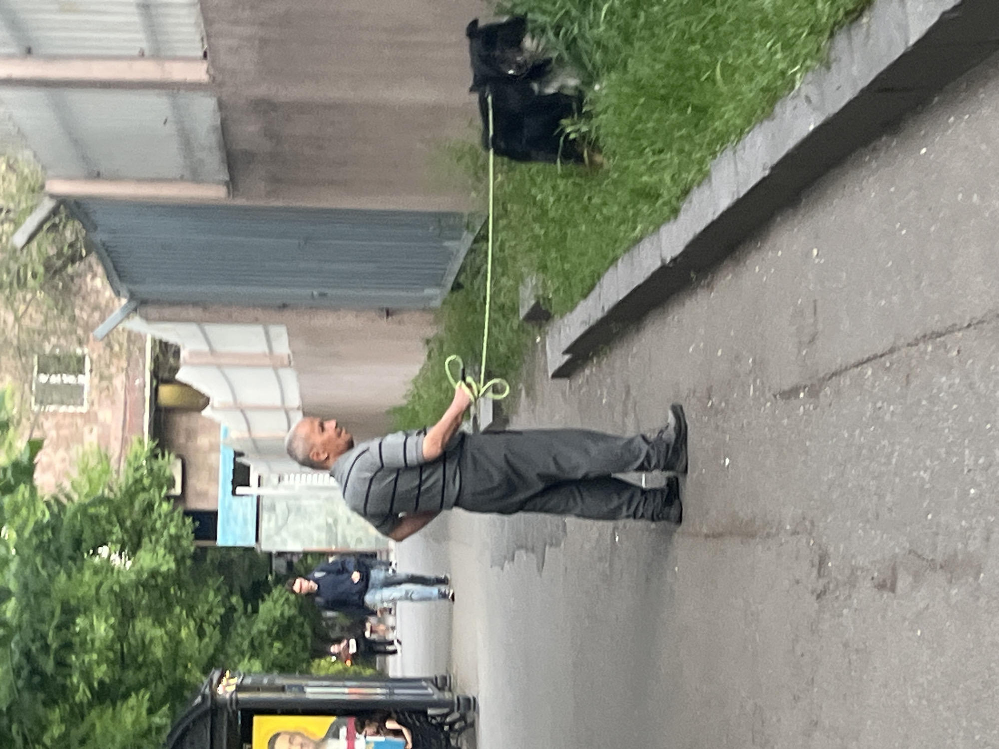 The image shows a man walking a black dog on a leash along a street in Yerevan, Armenia. The man is wearing a grey striped shirt and dark trousers. The dog is on a patch of grass next to the sidewalk. Other people are walking in the background. There is a building with a corrugated metal facade nearby. There are trees and vegetation on the left of the frame. A public transit vehicle is visible.