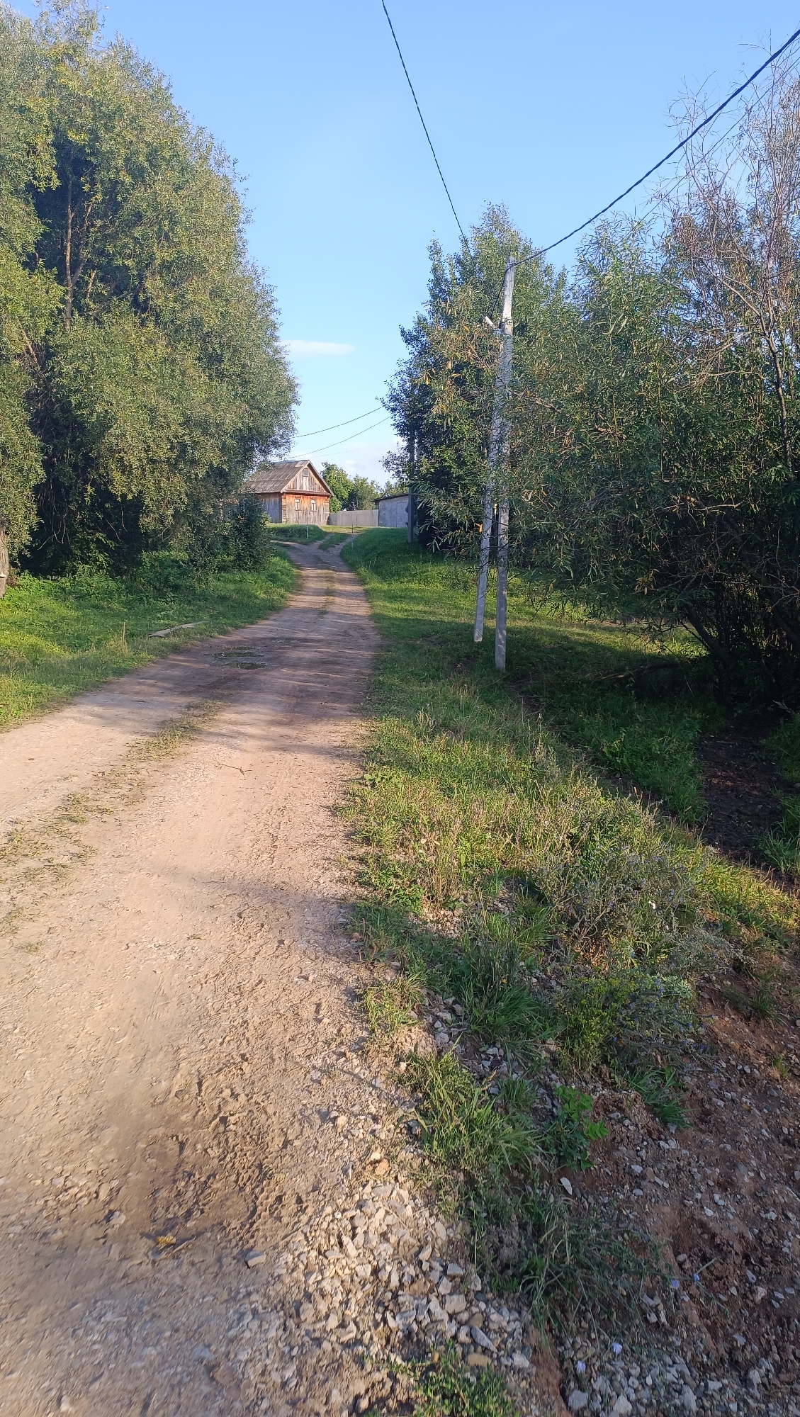 A dirt road leads toward a wooden house in a rural setting. The road is uneven and appears to be unpaved, with scattered gravel and patches of grass growing along its edges. Tall trees with dense green foliage line the left side of the road, creating a canopy that casts shadows. On the right side, more trees and brush are visible, along with a single wooden utility pole supporting overhead wires. The house, situated in the distance, is made of wood and has a pitched roof. A clear blue sky with a few wispy clouds completes the scene. The image captures a quiet, natural environment, likely in a village or countryside area, such as Karsha, Russia, given the architectural style and vegetation. There are no people or animals present in the image, and no discernible actions or interactions are taking place. The lighting suggests it is daytime, possibly late afternoon due to the long shadows.