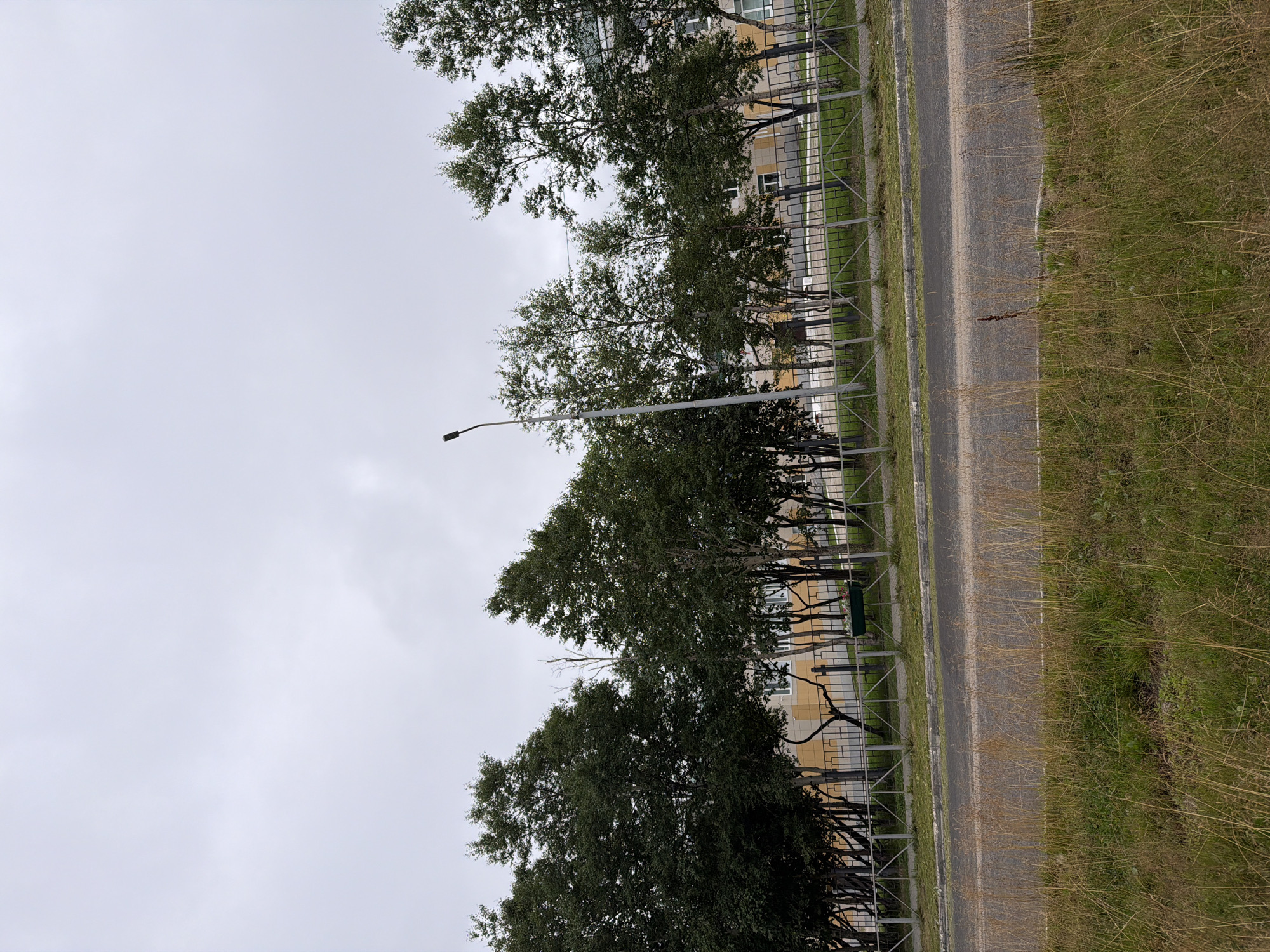 The image captures an overcast day in Okha, Russia, with a street scene dominated by a row of trees and a building. In the foreground, tall, dry grass lines a paved road. Behind the road, a metal fence encloses a grassy area where several trees stand. A lamppost is visible among the trees. In the background, a building with a light-colored facade and windows is partially obscured by the trees and fencing. The sky is uniformly gray and cloudy, contributing to a subdued atmosphere.