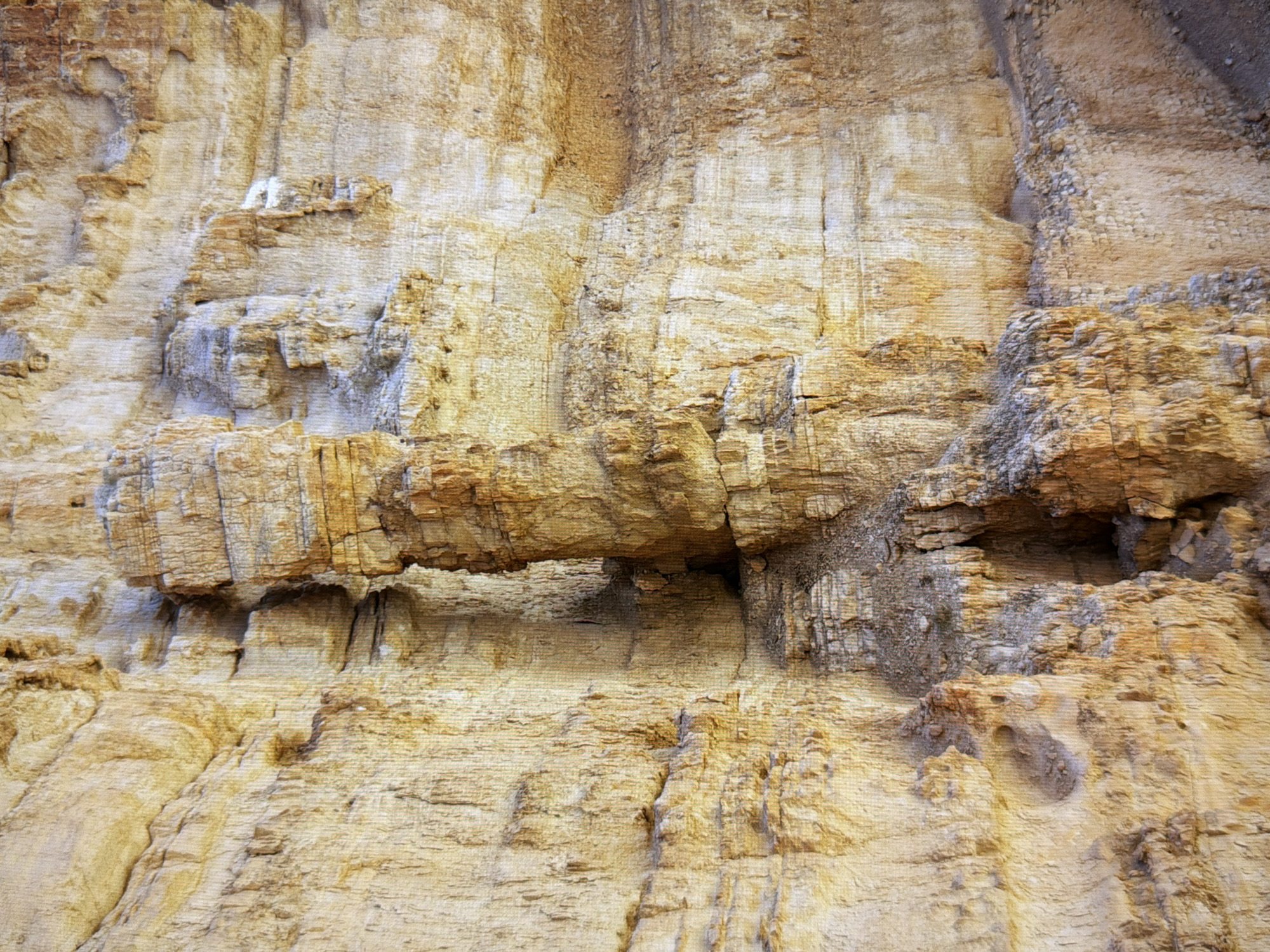 The image shows a close-up view of a sheer cliff face composed of layered sediment, primarily shades of yellow and brown, with some lighter, almost white striations. The texture is rough and stratified, indicating geological formation over time. There are vertical fissures and crevices, suggesting erosion and weathering. Some areas of the cliff appear more solidified, forming protrusions and jagged edges, while others are softer and more crumbly. The lighting suggests it is outdoors, with shadows indicating a light source from the right. There are no people, animals, or man-made objects visible in the image. The scene depicts a natural geological formation. There is no information to suggest this location is in Kyiv, Ukraine.