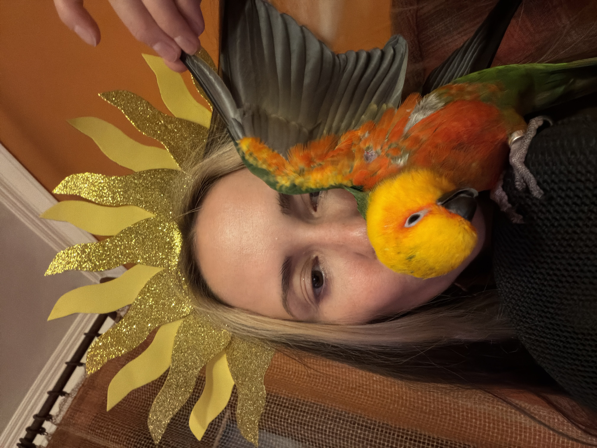 The image, captured in Khimki, Russia, displays a close-up, rotated portrait of a person and a pet parrot in an indoor setting. The image is oriented 90 degrees clockwise, showing the person's head tilted to the side. The person, with blonde hair, is wearing a striking headpiece fashioned as sun rays or a sunflower, featuring alternating sections of solid yellow and glittery gold.
Perched on or very near the person's head/shoulder is a vibrant sun conure parrot, characterized by its bright yellow head, orange chest, green body, and grey primary wing feathers. A silver band is visible on one of the parrot's legs. A hand is seen at the top of the frame, seemingly holding or adjusting the parrot's wing or the headpiece.
The person's face is partially visible, with one eye looking towards the viewer, conveying a calm or relaxed expression. The background features warm tones, including an orange surface and a brown and orange checkered or striped fabric, likely a blanket or curtain, consistent with a home environment. The lighting suggests an indoor, possibly evening, scene. There is no visible text in the image.