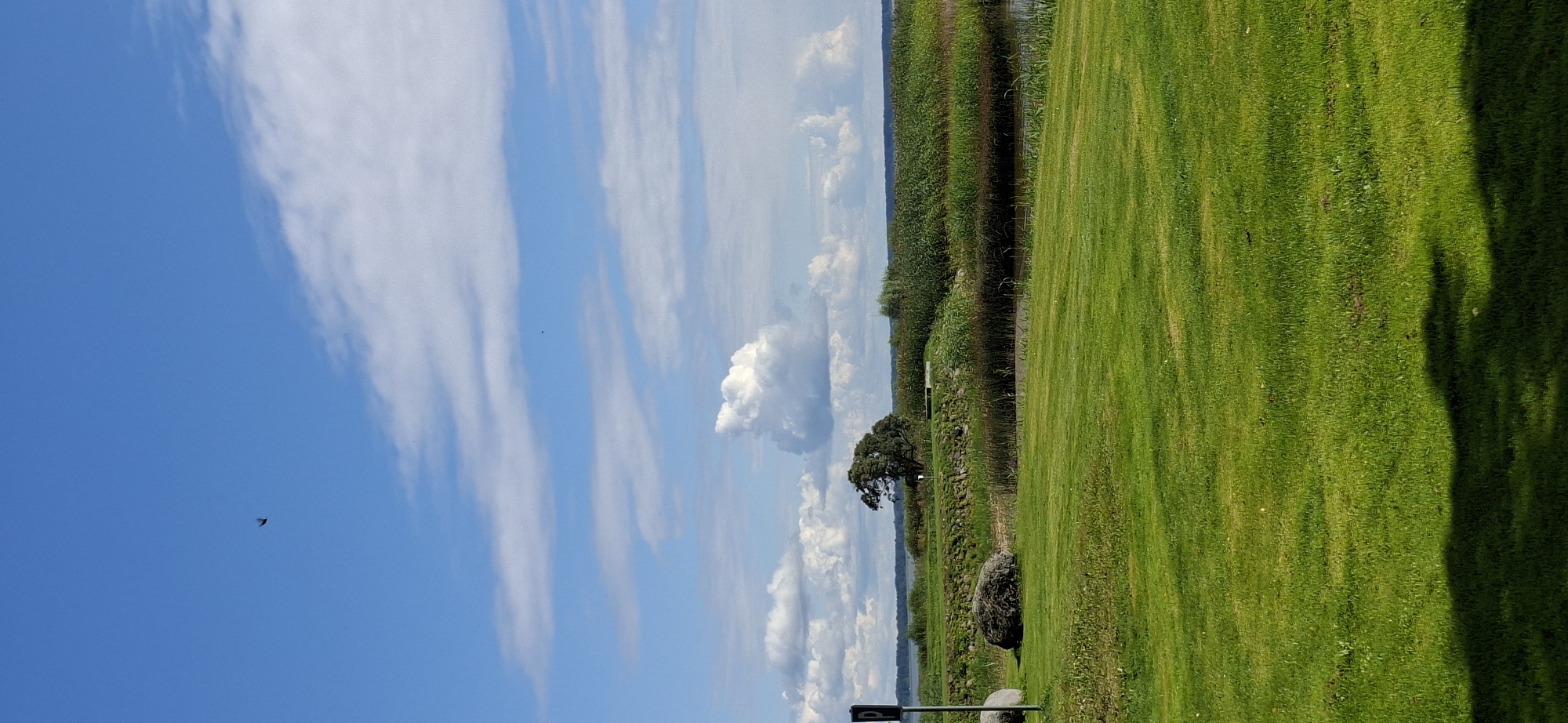 A vertical, eye-level medium shot captures a serene park-like landscape under a bright blue sky with scattered white clouds. In the foreground, a lush green lawn stretches across the bottom half of the image, casting a dark shadow from an unseen object on the right. To the left, near the edge of the lawn, are two large grey rocks and a black sign with a white "P" symbol, indicating parking.
The middle ground features a section of a stone wall bordering a dense growth of tall, green reeds and grasses, which leads to a tranquil body of water. A solitary, mature tree with a full, dark green canopy stands prominently on the stone wall, set against the backdrop of the water and reeds.
The background reveals a wide expanse of water that stretches to the horizon, bordered by a thin line of dark green vegetation. The sky is a vibrant blue, filled with soft, wispy white clouds. A single dark bird, appearing as a small silhouette, is visible in the upper left quadrant of the sky. The scene is peaceful and natural, suggesting a park or recreational area. The image was taken in Valma, Estonia.