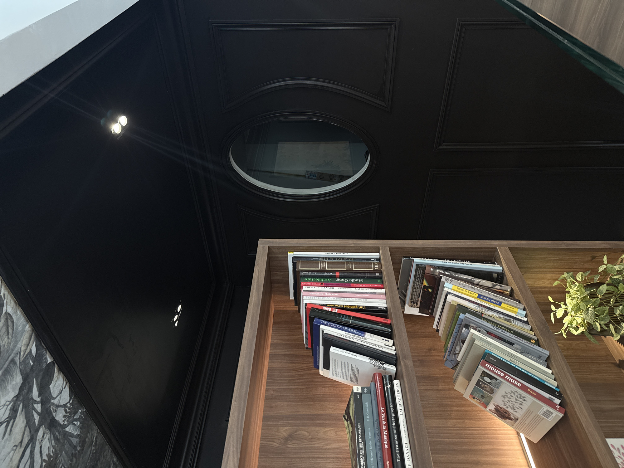 The image shows a low-angle interior shot, possibly in Paris, France, focusing on a bookshelf filled with books in the foreground, contrasting with an ornate, dark ceiling in the background. The ceiling has recessed panels, an oval skylight, and a decorative molding. A small spotlight is visible. The bookshelf is made of wood and is filled with art, architecture, and design books. A small green plant is visible on the top shelf of the bookcase.