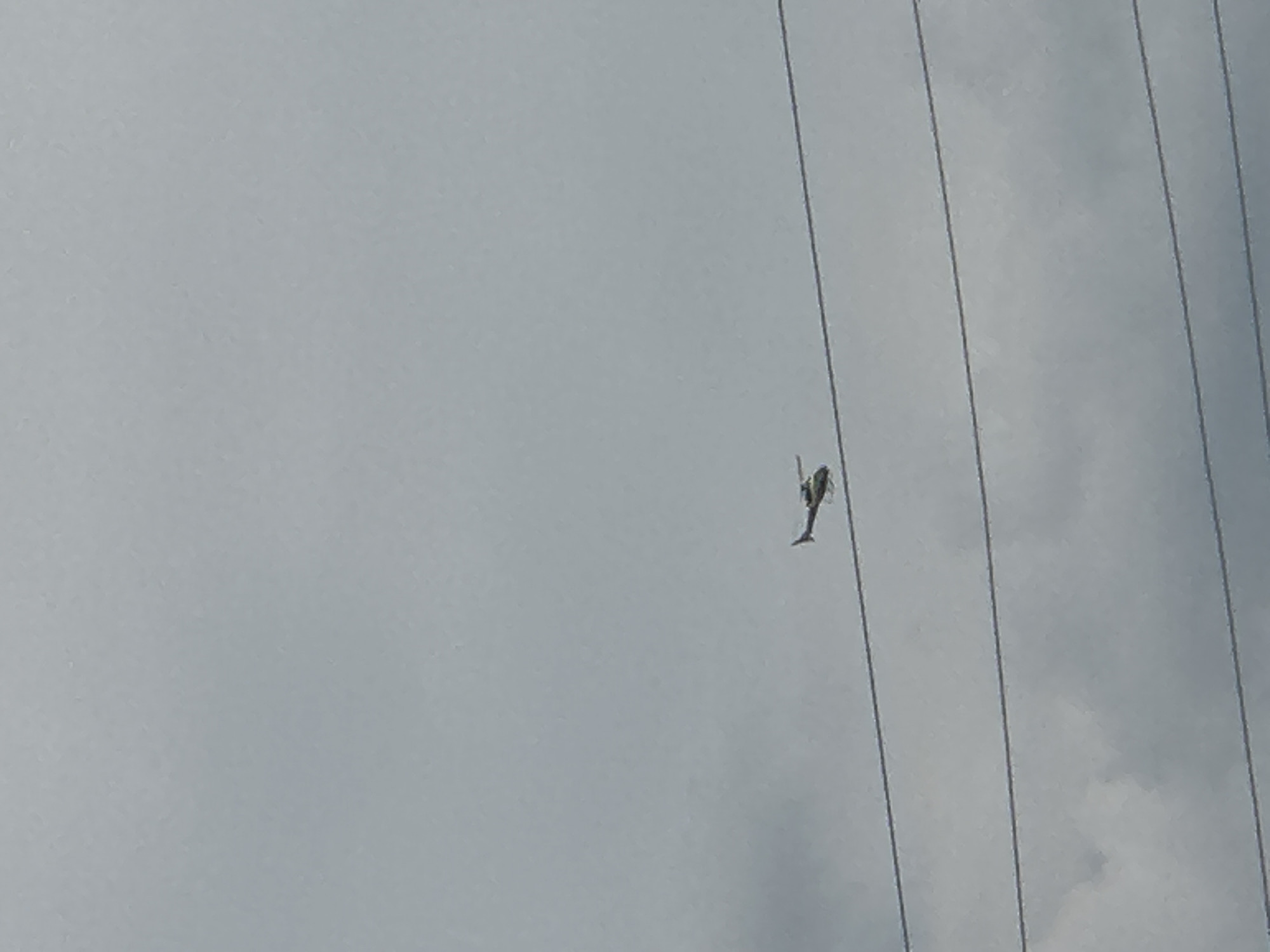 A small, dark-colored helicopter is depicted in flight against a cloudy, overcast sky. It is positioned above several parallel power lines. The helicopter appears to be moving from left to right. The scene is set in the city of Korchivka, Ukraine.