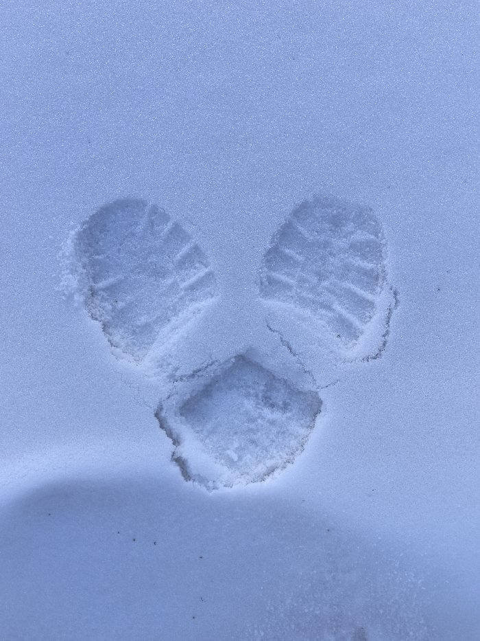 The image displays an overhead view of a uniformly snow-covered surface in Аблатуйский Бор, Russia. The snow appears fine-grained and a pale blue-white. Three distinct impressions are visible in the snow. The upper two impressions are complete boot sole prints, positioned side-by-side and slightly angled inward, each exhibiting clear tread patterns. The third impression, located centrally below the upper two, is a roughly rectangular shape consistent with a boot heel. All three impressions show sharp, well-defined edges, indicating recent formation in undisturbed snow. No individuals or other objects are present in the scene.