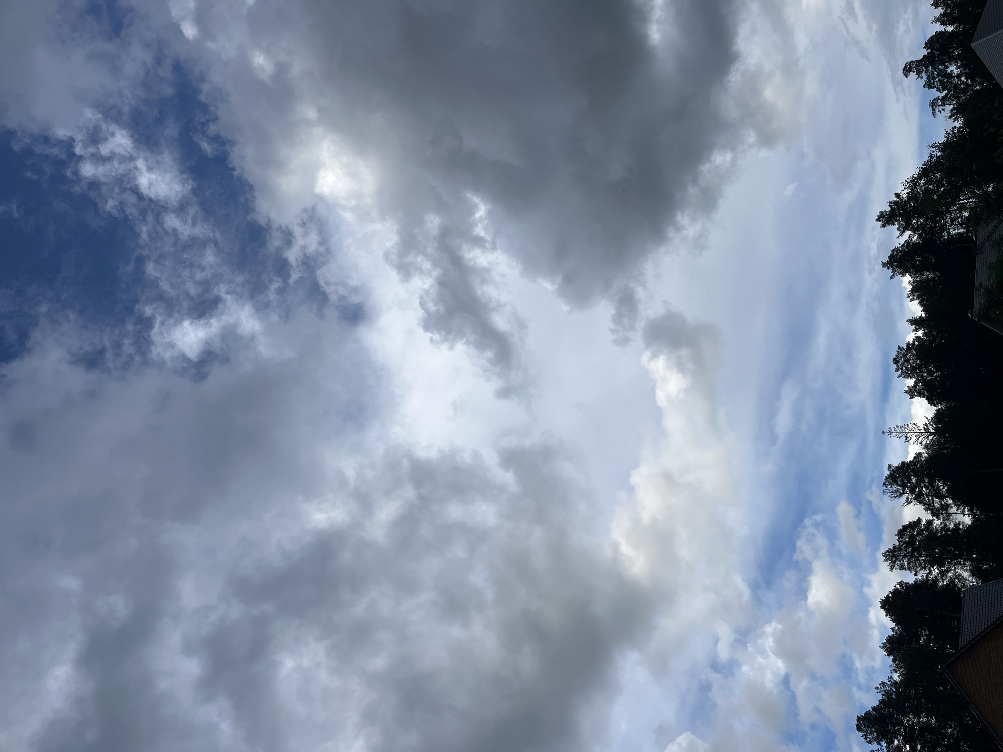 This image presents a daytime sky scene over Chaikovsky, Russia, filled with a diverse array of clouds. The sky is largely covered by clouds of varying densities and shades, from dark, heavy gray formations to brighter, more ethereal white and light gray clouds. Patches of clear blue sky are visible, particularly in the upper left and middle right areas, suggesting a dynamic weather pattern, possibly partly cloudy or moments before/after rain. Along the right side of the frame, a dense treeline of dark, tall coniferous trees forms a silhouette against the sky. A small portion of a building, characterized by a dark tiled roof and a brownish, possibly brick, wall, can be seen in the bottom right corner, partially hidden by the foliage. The scene implies a day with changing weather conditions. There are no people, explicit activities, or visible text in the image.