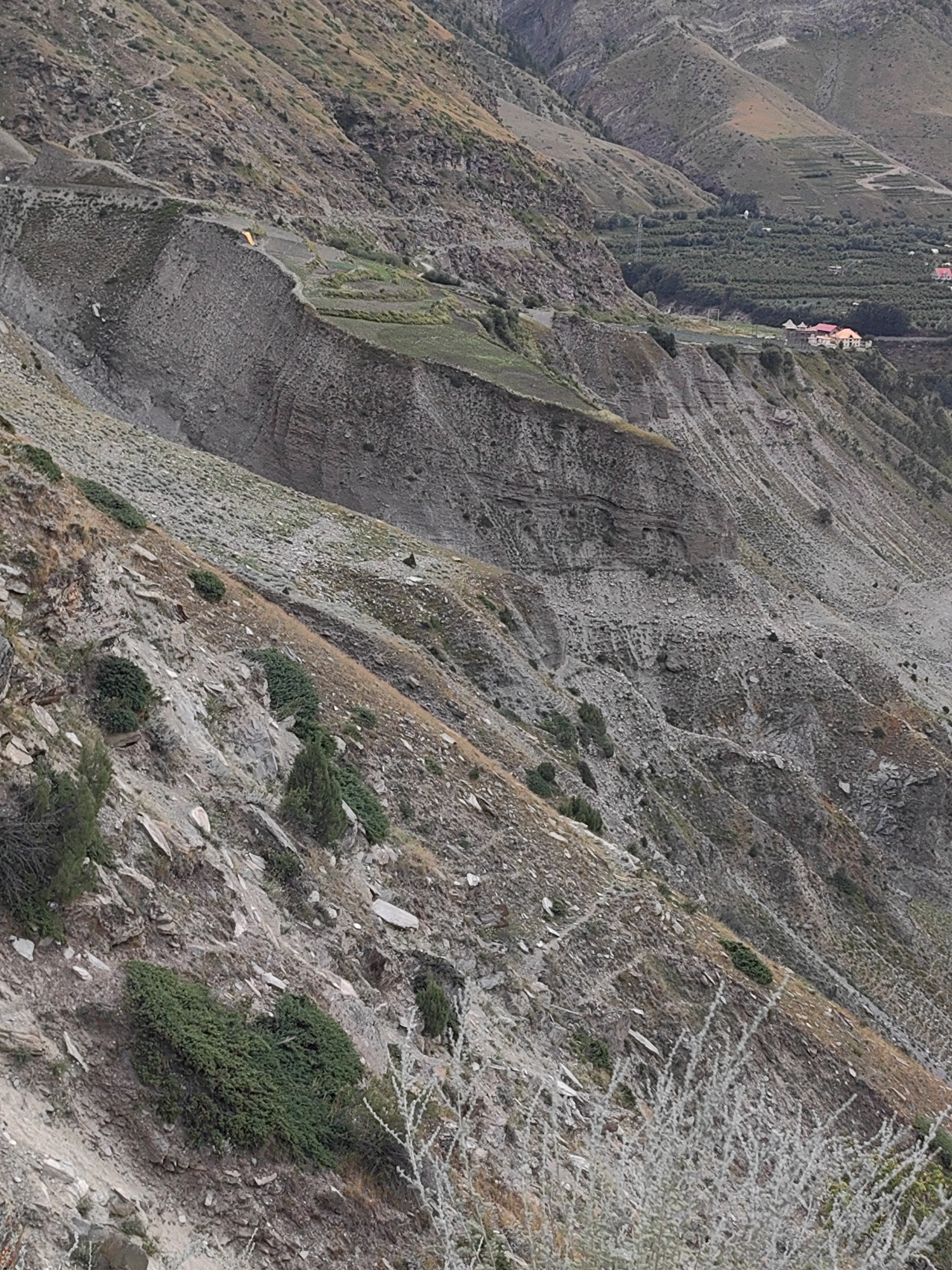 The image depicts a mountainous landscape in Gushal, India. The terrain is steep and rocky, with sparse vegetation consisting of dry grasses and small bushes. In the mid-ground, there is a visible landslide or eroded cliff face with distinct layers of rock and soil. Further in the distance, a settlement is visible with buildings that have red-tiled roofs, and an area that appears to be an orchard or cultivated land. A road or path is visible winding through the mountainside. There are no people or specific actions captured in the scene. The overall environment is rugged and natural, characteristic of a mountainous region.