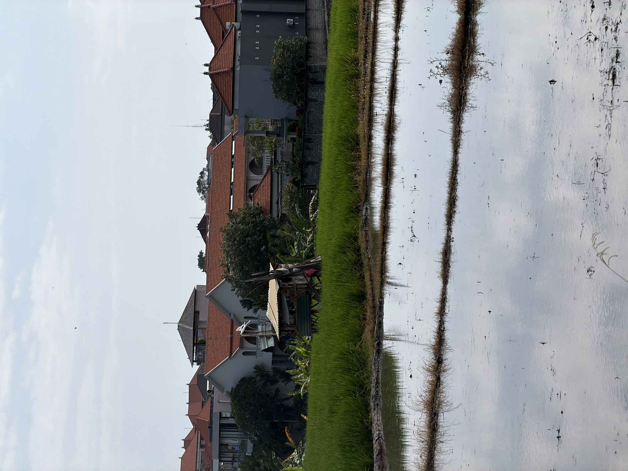The image captures a scene from North Kuta, Indonesia, featuring a rice paddy adjacent to a row of houses. The paddy field occupies the right half of the image, with water reflecting the sky and some surrounding details. There are visible ridges within the paddy.
The left half of the image depicts houses with red-tiled roofs and light-colored facades. The houses are interspersed with trees and greenery. One house appears to have a small shelter or structure next to it.
The sky is visible above the houses and is a light blue color. The image appears to be taken on a clear day. The composition and clarity suggest a natural light source. There are no apparent people or notable interactions in the frame.