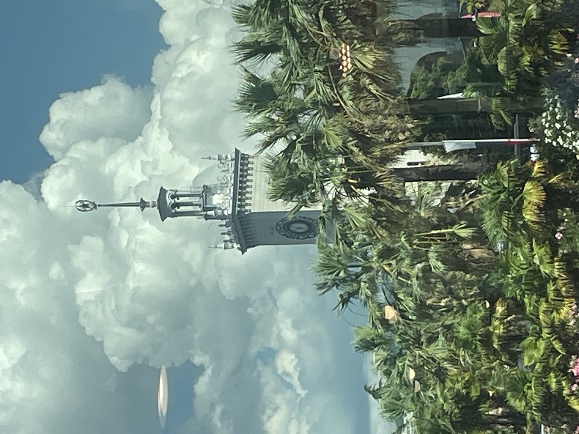 The image captures a view of the Sochi Sea Port in Sochi, Russia, on a cloudy day. A prominent clock tower, a distinctive feature of the port, stands tall against a dramatic sky filled with large, fluffy white clouds. Lush palm trees and other greenery fill the foreground, partially obscuring the lower portion of the tower and creating a tropical atmosphere. The clock on the tower is visible, though its face is somewhat obscured by the angle and the surrounding foliage. The top of the tower is adorned with a spire and what appears to be a star or emblem. The overall scene is one of architectural grandeur set against a vibrant natural backdrop.