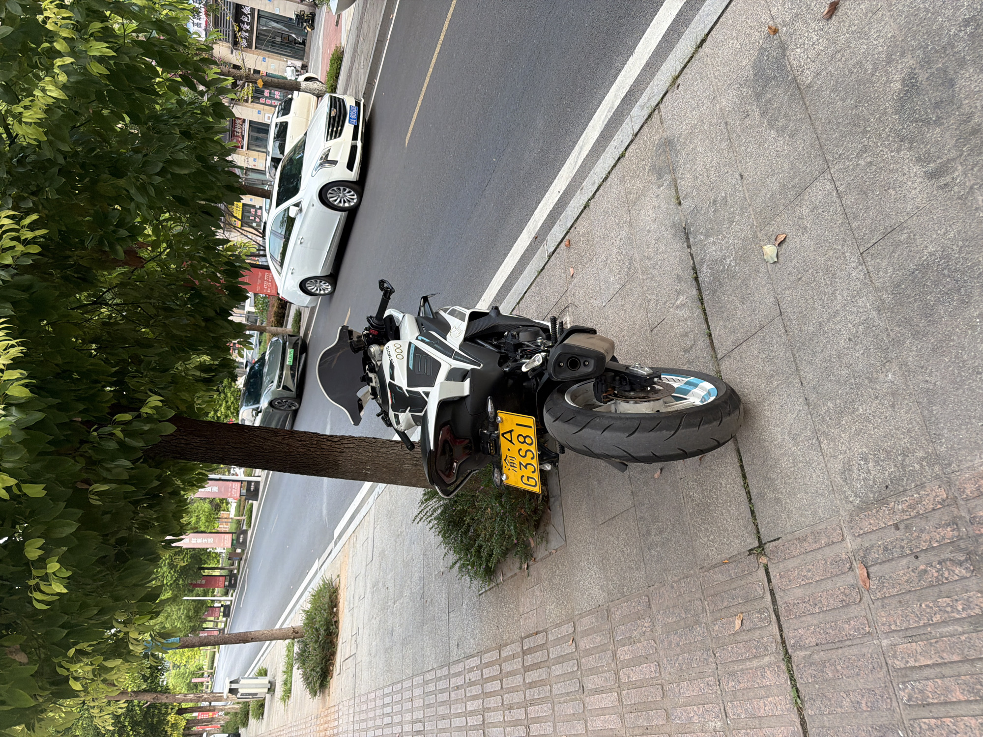 A black and white sport motorcycle is parked on a sidewalk next to a tree and a street in Jiangjin District, Chongqing, China. The motorcycle has a yellow license plate with the characters "渝A G3S81" on it. In the background, a white Cadillac sedan is driving on the street, and other cars and buildings are visible. The sidewalk is made of stone tiles, and there are some fallen leaves on the ground. The area is lined with trees, and banners are hanging from poles along the street.