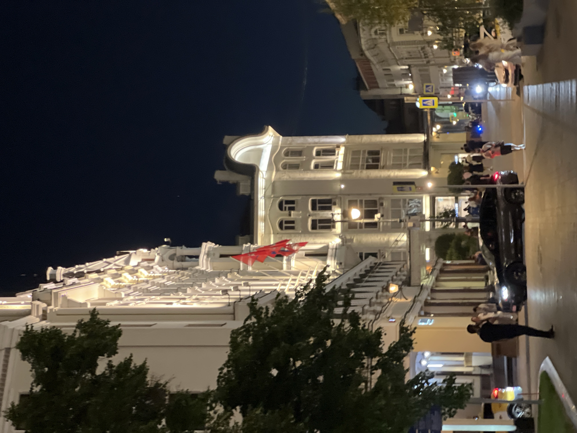 The image displays a night scene on Teatralny Proyezd in Moscow, Russia, characterized by illuminated architecture and urban activity. The prominent building on the left is the Metropol Hotel, an ornate, multi-story structure with classical architectural details, including columns, balconies, and decorative cornices, all brightly highlighted by warm-toned exterior lighting. Two red flags, each bearing a lighter-colored, stylized emblem (reminiscent of a historical Russian symbol such as a double-headed eagle or a crest), hang from the upper floors of the hotel.
Further down the street, other multi-story buildings, also illuminated, line the thoroughfare. A distinct building on the right side of the street features a curved, illuminated pediment at its top. The sky above is a deep, dark blue-black, indicating nighttime.
In the foreground, dark-leafed trees partially obscure the left side of the scene. A man in dark attire stands on the pavement in the lower-left quadrant, facing towards the right side of the frame. Several other individuals are visible further down the street, some walking and others standing in small groups. A dark-colored SUV or sedan is parked on the street in the mid-ground, illuminated by streetlights. Additional vehicles, including a light-colored taxi, are visible in the distance. Streetlights emit a warm, golden glow, illuminating the paved street and sidewalks. Yellow pedestrian crossing signs are visible on poles along the street.