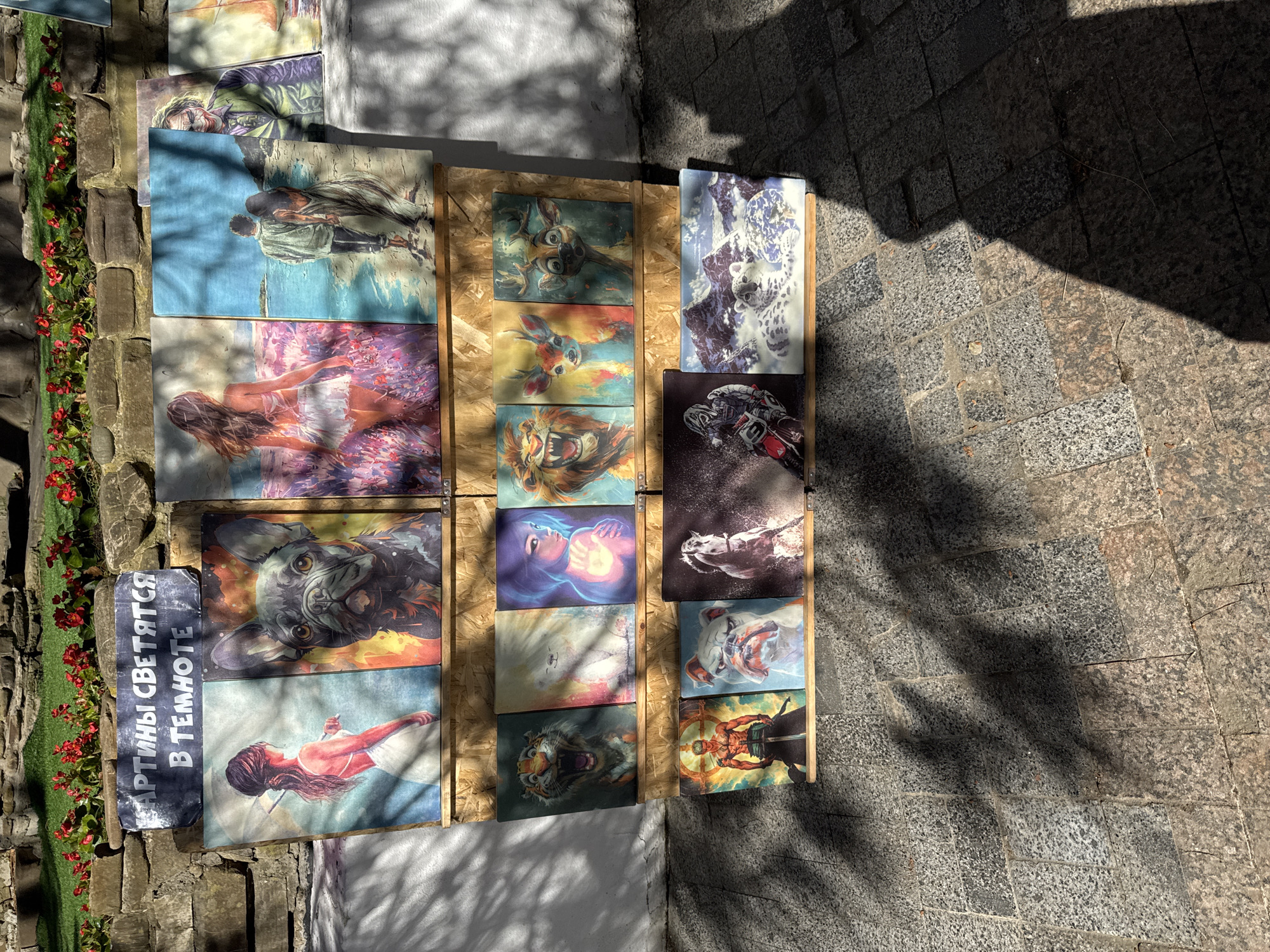 The image captures an outdoor display of numerous artworks, likely at a market stall or pedestrian area in Sochi, Russia. The scene is viewed from an overhead perspective, looking down onto the display.
The artworks, which appear to be posters or canvases, are arranged on three wooden display stands. They feature a diverse range of subjects, including stylized animals such as a deer, a roaring lion, a French bulldog, snow leopards, a growling tiger, a charging horse, and a bulldog. Many artworks also depict human figures, some in colorful, fantasy-like settings, a woman with an axe, and a warrior-like character. The styles vary from somewhat realistic to highly graphic and artistic.
The ground surrounding the display is paved with grey and black cobblestones, partially illuminated by bright sunlight and partially covered by distinct, dark shadows cast by an unseen overhead structure or foliage, suggesting a sunny day, likely late morning or early afternoon. Along the left edge of the frame, there is a low stone wall adorned with a strip of artificial green grass and small red flowers.
A notable detail is a dark blue sign placed near the display, featuring white Cyrillic text. The text reads: "КАРТИНЫ СВЕТЯТСЯ В ТЕМНОТЕ," which translates to "PAINTINGS GLOW IN THE DARK." No people are visible engaging with the display, suggesting a momentary pause or a quiet period for the vendor.