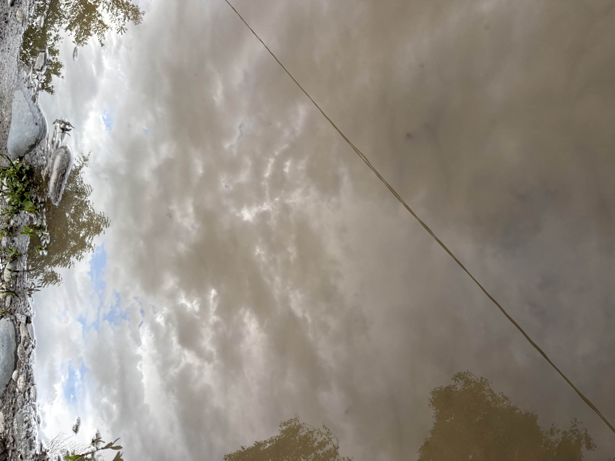 A reflection of a cloudy sky is visible in a muddy puddle on a dirt road. Trees and some rocks are also reflected in the water. A thin rope or wire runs diagonally across the image from the bottom right to the middle of the frame. The scene appears to be outdoors, possibly in a natural or rural setting. There are no people or animals visible in the image. The overall impression is one of a calm, overcast day.
