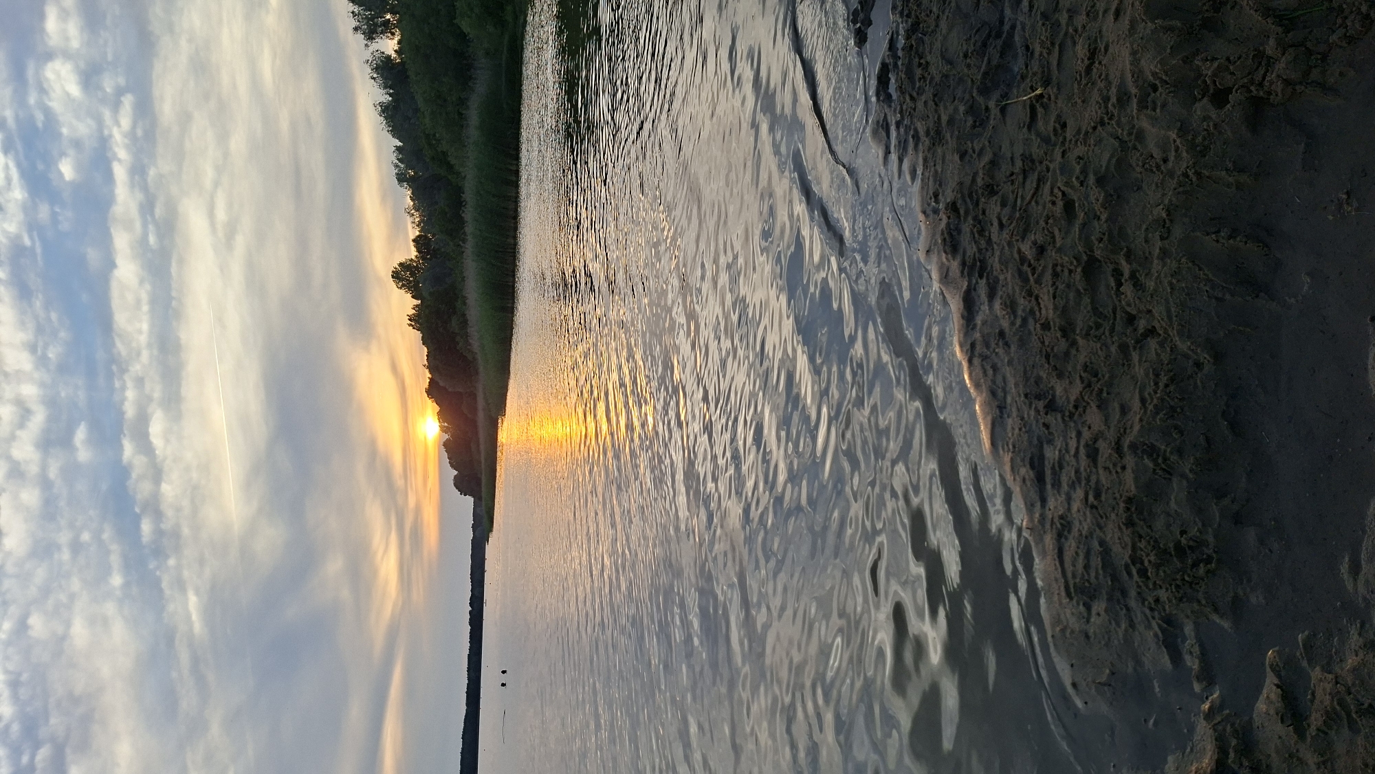 The image shows a natural landscape scene. The foreground is dominated by dark, wet sand with ripples and texture, suggesting it is either a beach or the edge of a body of water. The water itself is a significant portion of the image, with a gentle surface texture and reflections of the sky. In the middle ground, there is a shoreline with dense vegetation, appearing as reeds or tall grasses, bordering a line of trees. The background consists of a sky with scattered clouds, some of which are wispy and white, while others are darker and more textured. The sun is setting or rising, casting a warm, golden light that reflects off the water and illuminates the sky with hues of orange and yellow. There is a faint white contrail from an airplane visible in the upper portion of the sky. Two small, dark, indistinct figures, possibly people or animals, are visible in the water on the far left side of the image. The scene is tranquil and natural, evoking a sense of calm. The location is not specified within the city of Tallinn, Estonia.