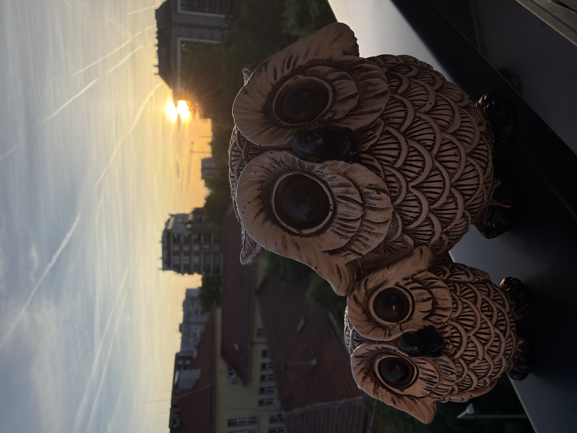 The image captures two decorative owl figurines positioned on a dark surface, likely a balcony ledge, with an urban cityscape visible in the background. The figurines are light-colored with detailed feather patterns and dark, round eyes. The background shows buildings of varying heights, some with visible windows and architectural details. The sky is light with contrails crisscrossing the frame, and the sun is low on the horizon, creating a golden light.