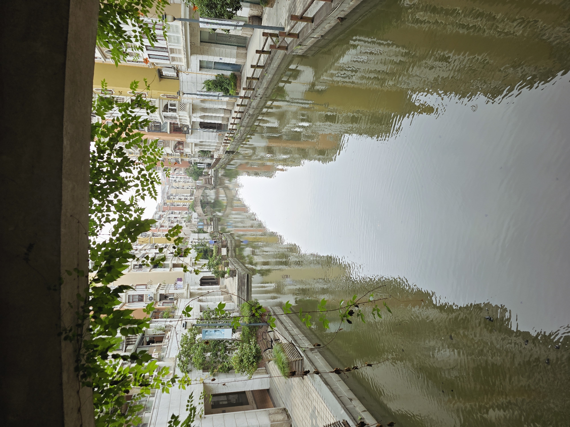 This is a forward-facing, eye-level shot of a canal in the Xiaoshan District of China. The canal runs through a European-style residential area with colorful buildings. Green vines hang from an overhead structure, partially obscuring the view. The water reflects the buildings and the sky. A paved walkway with benches and planters runs along the canal's edge. Wooden railings line the walkway. In the distance, a bridge spans the canal. The scene appears peaceful and tranquil.