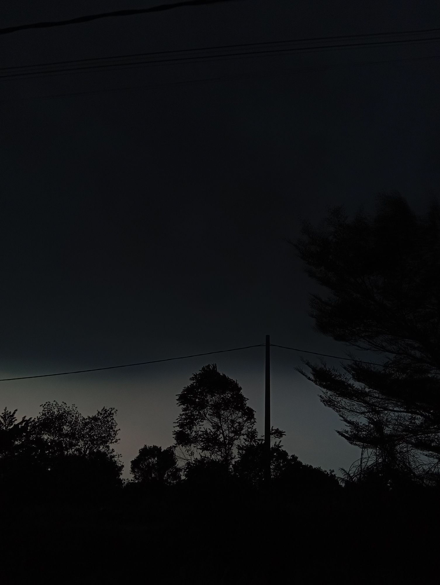 This image depicts a dark, silhouetted landscape with trees against a dusky sky. Multiple power lines are visible stretching across the frame, one higher up and another lower, closer to the treeline. A slender utility pole stands vertically amidst the trees. The foliage is dense and dark, obscuring any ground details. The sky exhibits a gradient of dark grey to a lighter, almost hazy tone near the horizon, suggesting either twilight or an overcast condition. The overall impression is one of a rural or suburban area on the outskirts of Kualu, Indonesia, captured during low light conditions. There are no people or animals visible.