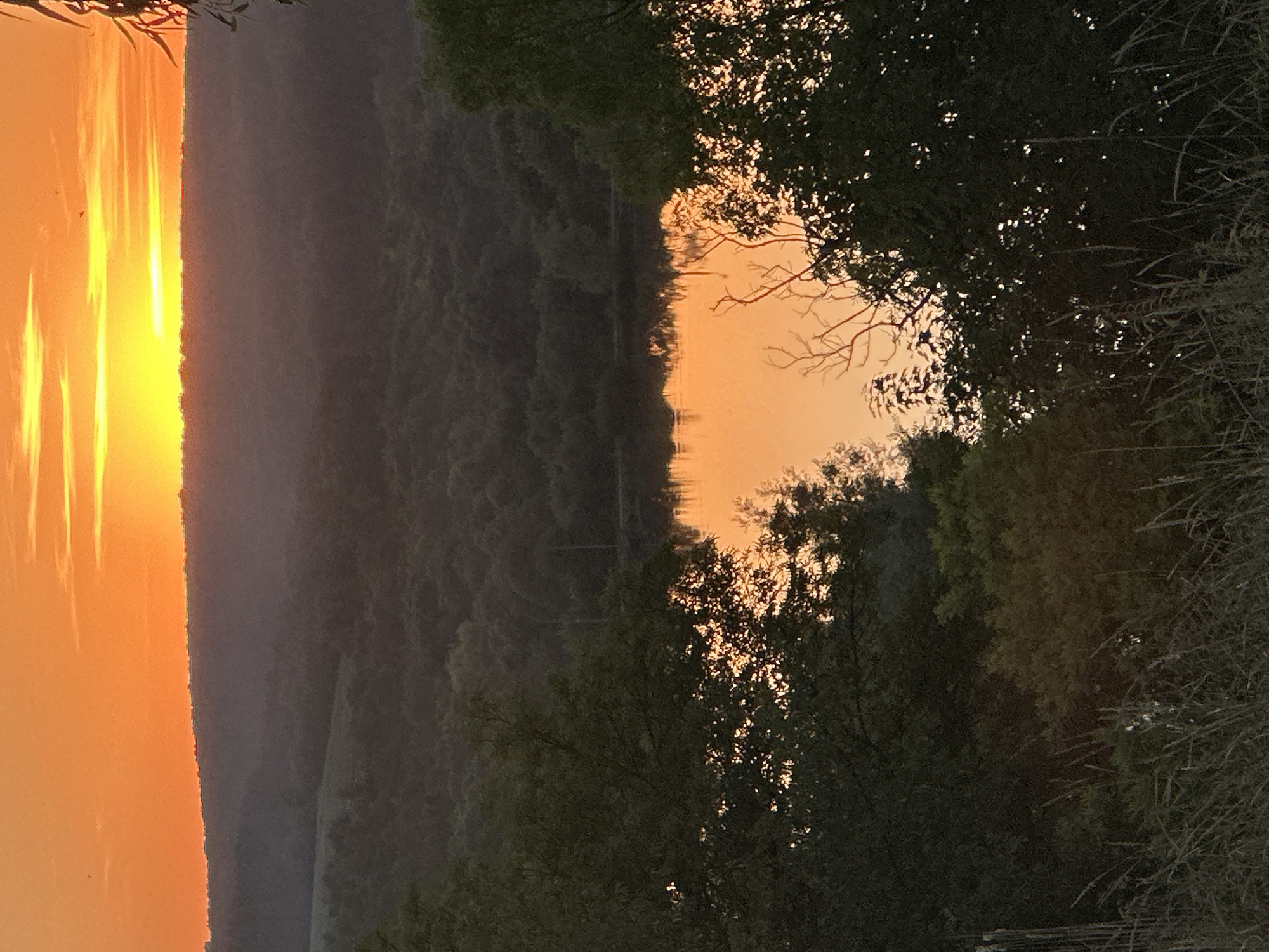 This image captures a sunset over a rural landscape, possibly near Makiv, Ukraine, given the context. The sky is ablaze with vibrant orange and yellow hues, indicative of the setting sun, with a bright yellow band on the horizon. Below the sky, a dark, forested hillside slopes down towards a body of water, which reflects the fiery colors of the sunset. The foreground is dominated by the dark silhouettes of trees and tall grasses, obscuring some of the details of the landscape beyond. The overall impression is one of natural beauty and tranquility during twilight.
