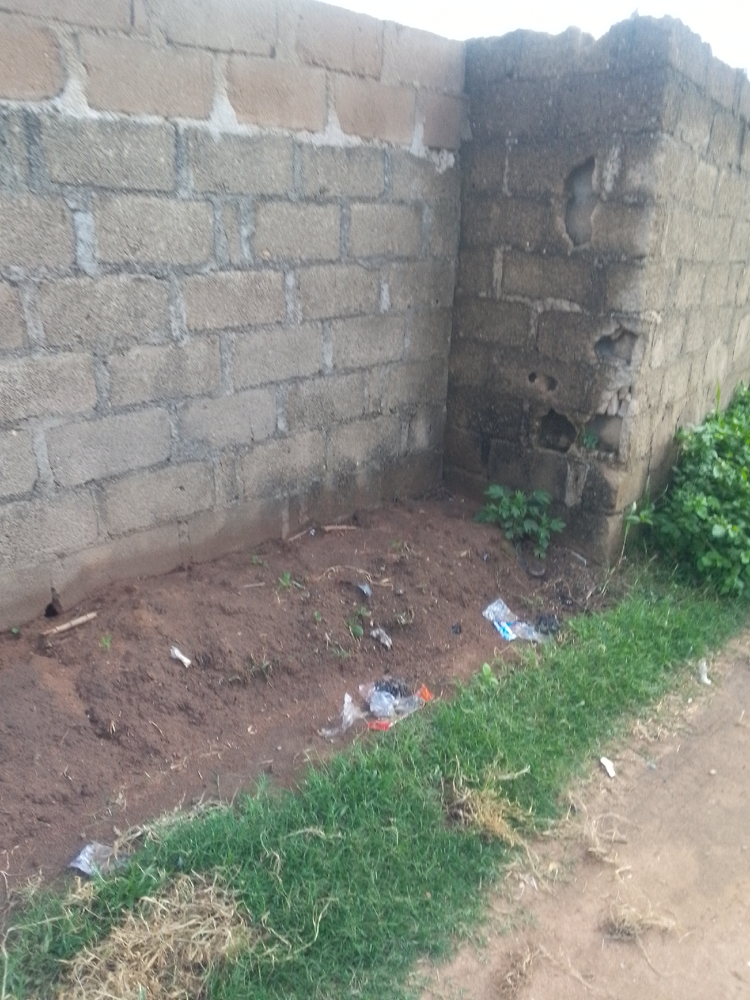 The image depicts an outdoor scene with a focus on a partially constructed or dilapidated brick wall. The wall, made of grey concrete blocks, shows signs of age and damage, particularly at the corner where sections are crumbling. In front of the wall, there is an area of reddish-brown soil, with patches of dry grass and scattered debris, including plastic wrappers. A small, green plant is growing in the soil near the damaged part of the wall. To the right of the soil area, a patch of vibrant green grass grows, bordering a dirt path. The lighting suggests it might be daytime, but the overcast sky, indicated by the bright and diffused light, could imply cloudy weather. There is no visible text in the image. The scene appears to be a neglected outdoor space, possibly a yard or an undeveloped lot in an urban or semi-urban area. The overall impression is one of disuse and mild decay.