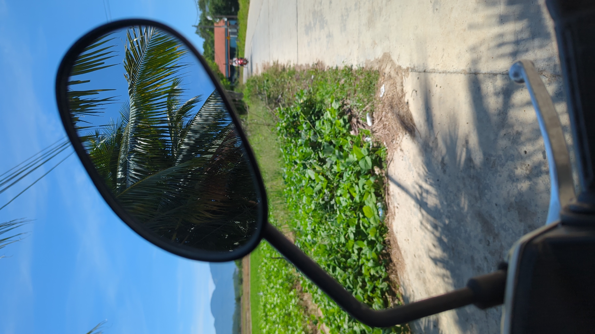 The image depicts a scene from the perspective of someone riding a motorcycle on a paved road in Ninh Ích, Vietnam. The motorcycle's handlebar is visible in the foreground, along with the side mirror. In the mirror's reflection, lush green fields are visible, bordered by a road and a small building with a red roof. A person is riding a motorcycle in the distance on the road. Palm fronds are also reflected in the mirror, suggesting the presence of palm trees in the vicinity. The sky is clear blue. The environment appears rural and tropical, characterized by abundant vegetation, a clear sky, and a simple road infrastructure. The overall impression is one of a sunny day in a countryside setting.