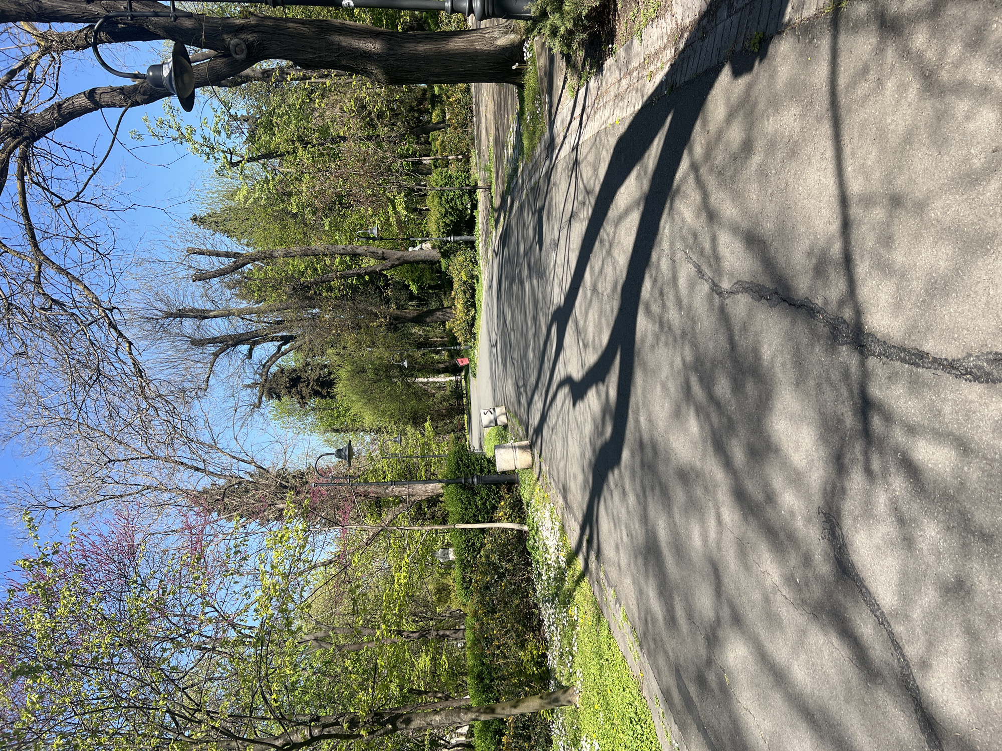 The image depicts a park pathway in Burgas, Bulgaria, during daytime. The asphalt pathway curves through a green space. Along the pathway's edge is a strip of vegetation. Mature trees line the sides of the path, casting shadows across the asphalt. There are street lamps along the pathway. The sky is blue.