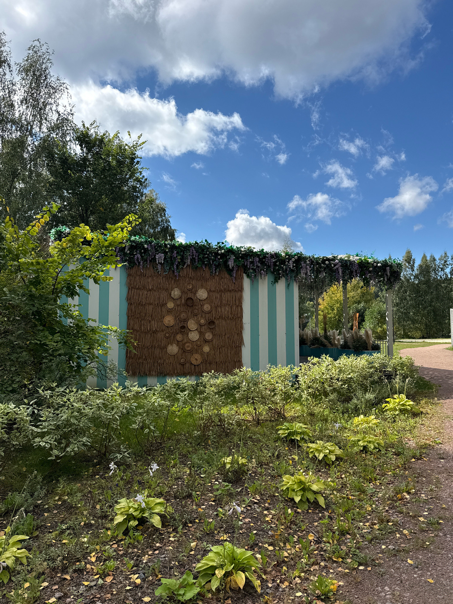 The image captures a bright, sunny outdoor scene with a clear blue sky dotted with fluffy white clouds. In the foreground, a path with a gravel surface curves to the right, bordered by lush green vegetation, including hosta plants and smaller shrubs with variegated leaves. Scattered fallen yellow leaves are visible on the ground.
Dominating the mid-ground is a decorative structure resembling a small pavilion or booth. It has a base of vertical aqua and white stripes, and its front wall features a large rectangular panel made of woven straw-like material. This panel is decorated with an arrangement of circular woven elements of varying sizes and shades of brown. The roofline of the structure is adorned with abundant artificial greenery and clusters of purple and white flowers, creating a decorative fringe.
Behind the main structure, the scene opens up to reveal more greenery and trees, suggesting a park or garden setting. The overall impression is one of a well-maintained outdoor space, possibly a decorative installation or a vendor stall, set against a natural backdrop. The image does not contain any people or animals.
The location is identified as Tsaritsyno Park, Moscow, Russia.