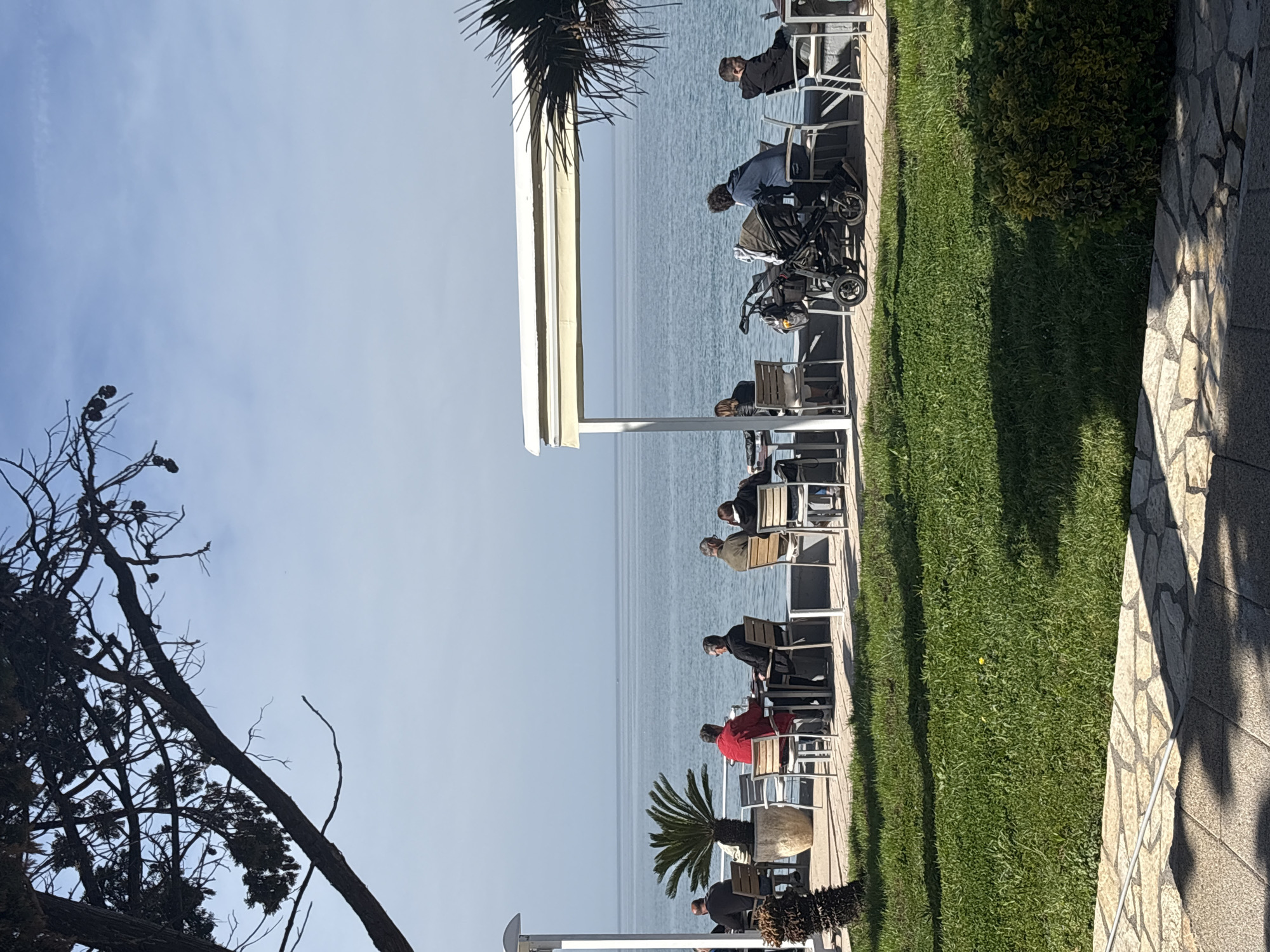 The image shows a row of seated individuals at an outdoor cafe in Bar, Montenegro, facing a body of water under a clear sky. The cafe's white chairs and tables are arranged along a strip of green grass, bordered by a stone walkway and some vegetation. People are sitting and possibly eating or drinking, in a row with a stroller. A tree is to the left.