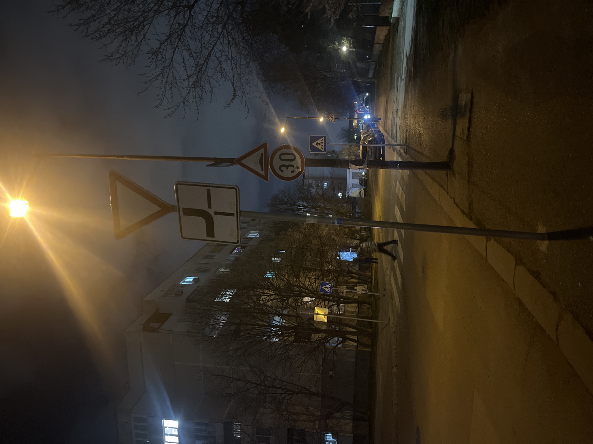 This nighttime image depicts a street scene in Sofia, Bulgaria. The environment is illuminated by artificial warm yellow streetlights, creating visible light flares and a hazy atmospheric effect.
In the foreground, a tall metal pole stands on the right side of an asphalt road. Attached to this pole are multiple road signs: an inverted white triangular "Yield" sign with a red border, a square "Intersection with priority road" sign displaying a bent black arrow, a triangular "Road Hump" warning sign, and a circular "Speed Limit 30" sign with a red border. Below these, a separate, shorter pole bears a blue square "Pedestrian Crossing" sign featuring a white triangle and a black pedestrian silhouette.
To the left of the pole, a zebra-stripe pedestrian crossing is marked on the asphalt road. A single person is captured in motion, walking from left to right across this crossing. The individual is wearing a horizontally striped top and dark lower garments. Further down the street on the right sidewalk, another faint human figure is visible.
The right side of the image features a concrete sidewalk that extends into the distance, lined by bare deciduous trees and illuminated by additional streetlights. Several parked vehicles are visible along the right side of the street, and distant vehicle headlights are discernible.
On the left side of the road and in the background, multi-story apartment buildings with light-colored facades are visible. Numerous windows within these buildings are lit, indicating interior occupancy. Bare trees are prominent in front of these buildings, their branches devoid of leaves, suggesting a colder season. The sky is dark, partially obscured by ambient light haze.