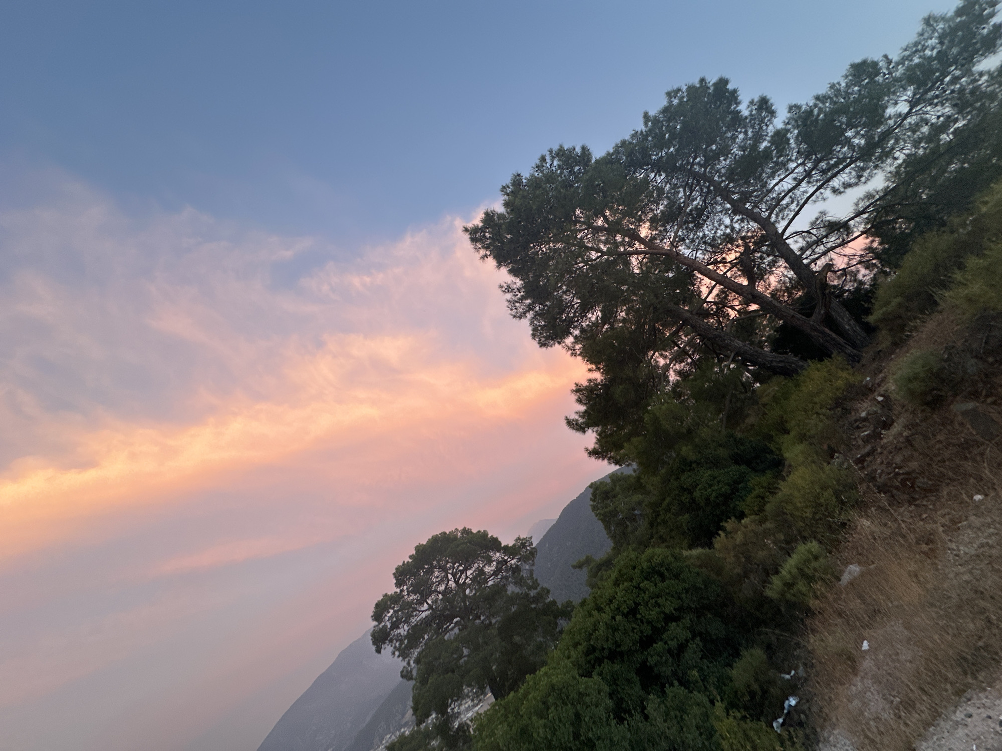 The image captures a dusky sky filled with streaks of pink and orange clouds, transitioning into a clear blue expanse. Silhouetted against this vibrant sky are the tops of lush green trees and the hazy outlines of distant mountains. The foreground is dominated by a dense collection of trees, their branches reaching upwards. The overall scene suggests an outdoor setting, possibly a hillside overlooking a landscape, bathed in the soft light of dusk. The location is identified as Fethiye, Turkey.
