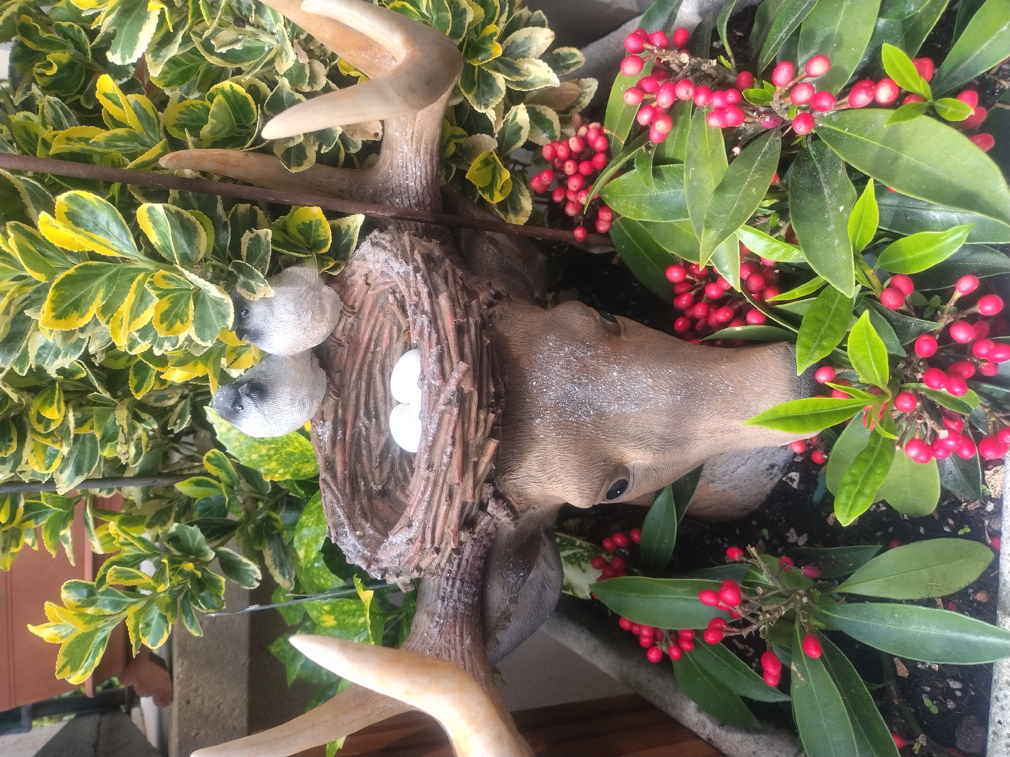 A close-up, indoor shot of a floral arrangement featuring a faux deer head with antlers. The deer head is surrounded by various plants; one with variegated green and yellow leaves and another with green leaves and bright red berries. A small, faux bird's nest sits between the antlers, containing two white eggs and flanked by two small, gray bird figurines. The arrangement is situated within a container filled with dark soil. The location is unknown, and there is no information available to identify the location as Luxembourg City, Luxembourg.